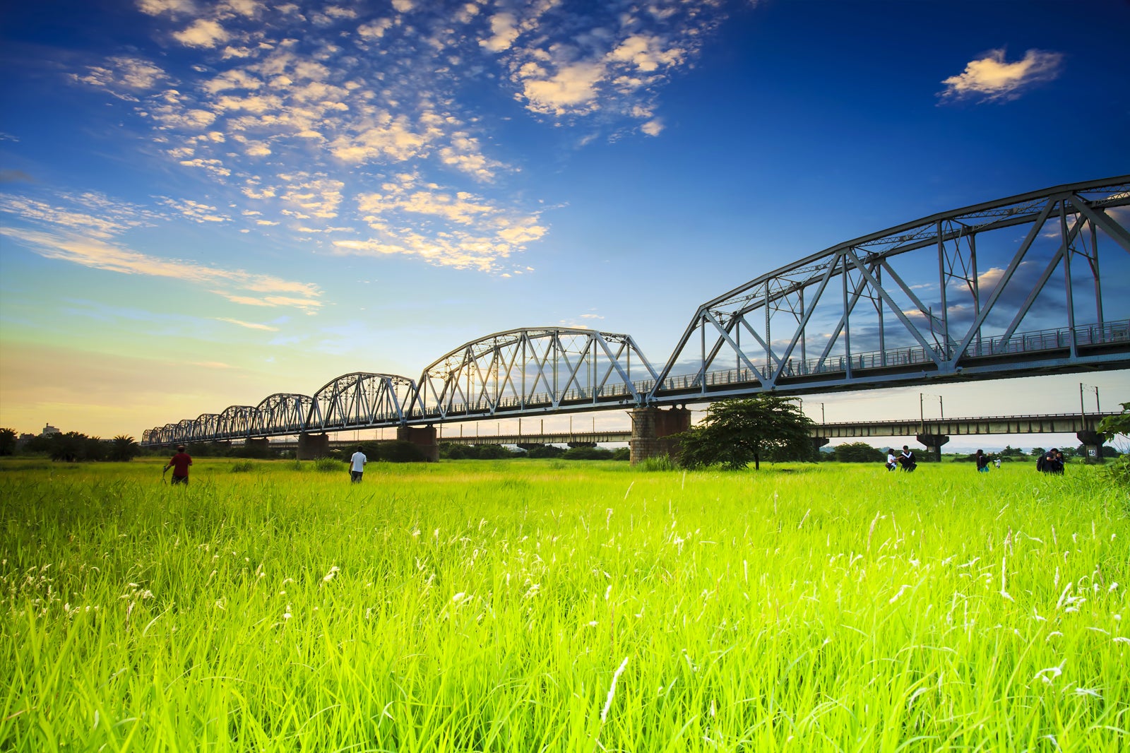 پل قدیمی راه آهن بر روی رودخانه تامسوی پایین - Old Railroad Bridge over the Lower Tamsui River