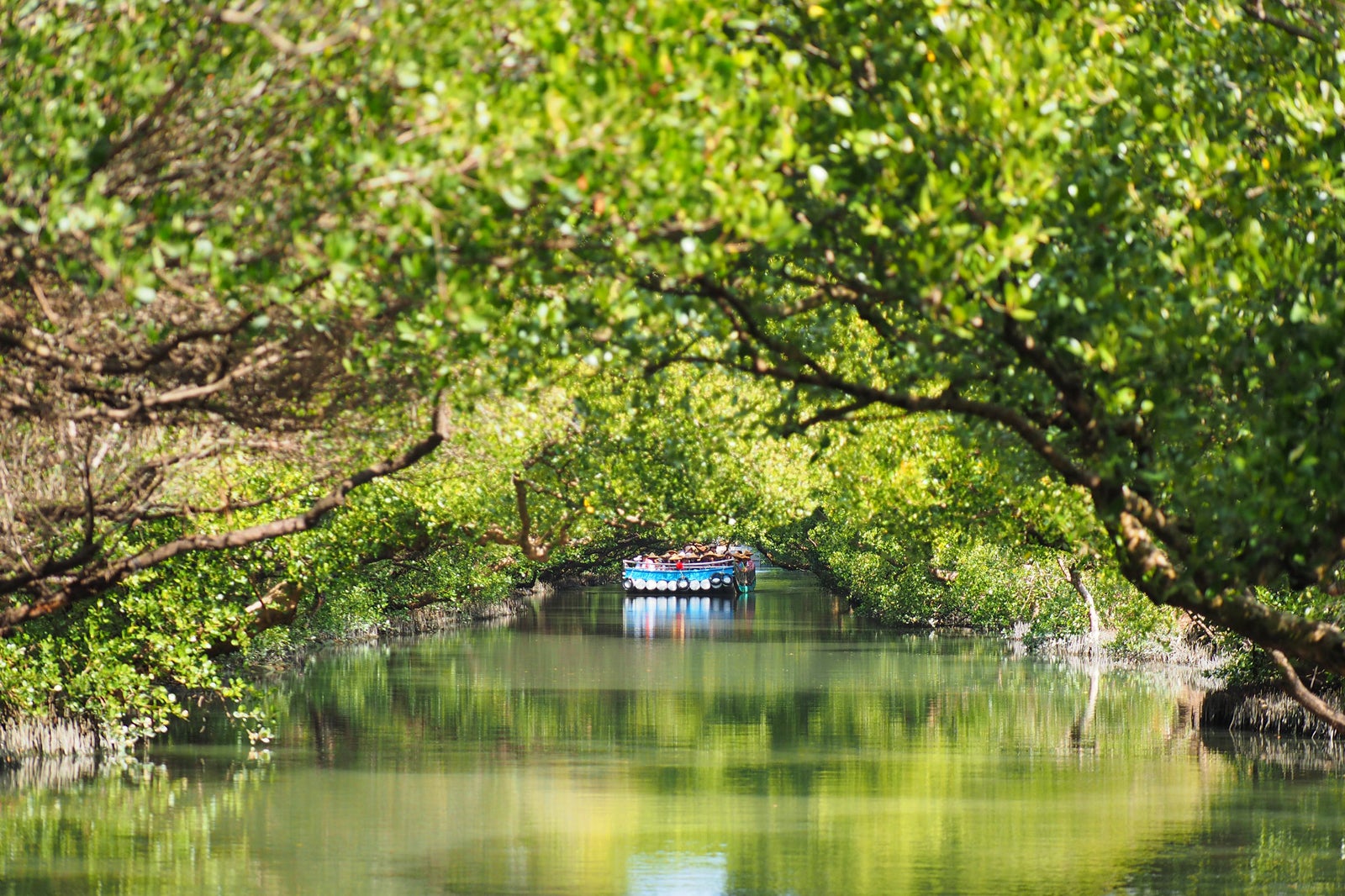 تونل سبز سیکائو - Sicao Green Tunnel