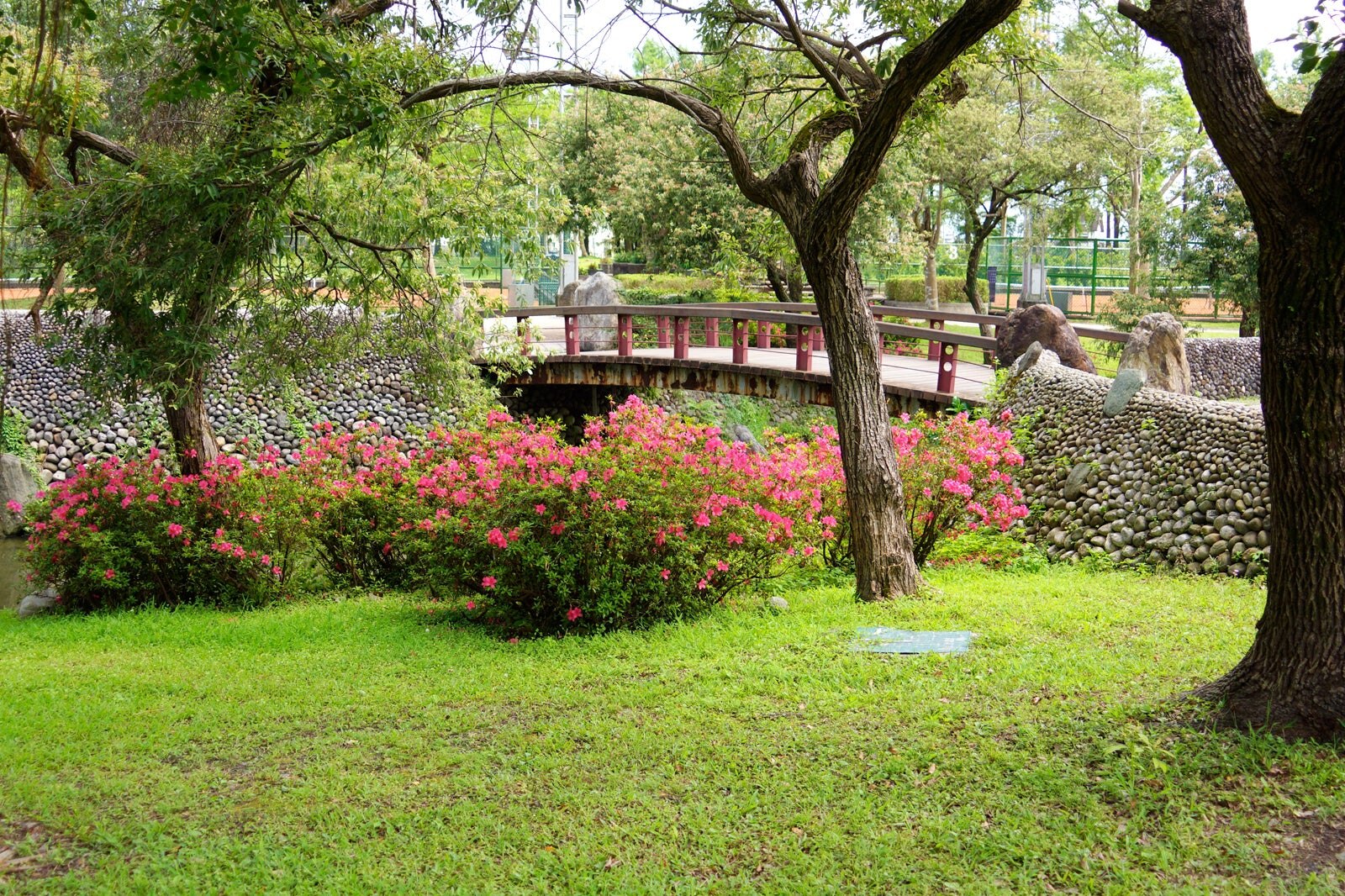 یک پیک نیک روی چمن در پارک ورزشی لودونگ داشته باشید - Have a Picnic on the Grass at Luodong Sports Park