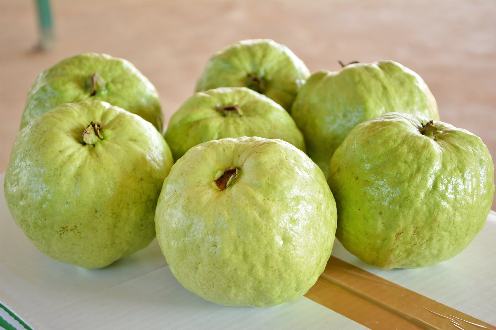 گواوا (فرنگ) - Guava (Farang)