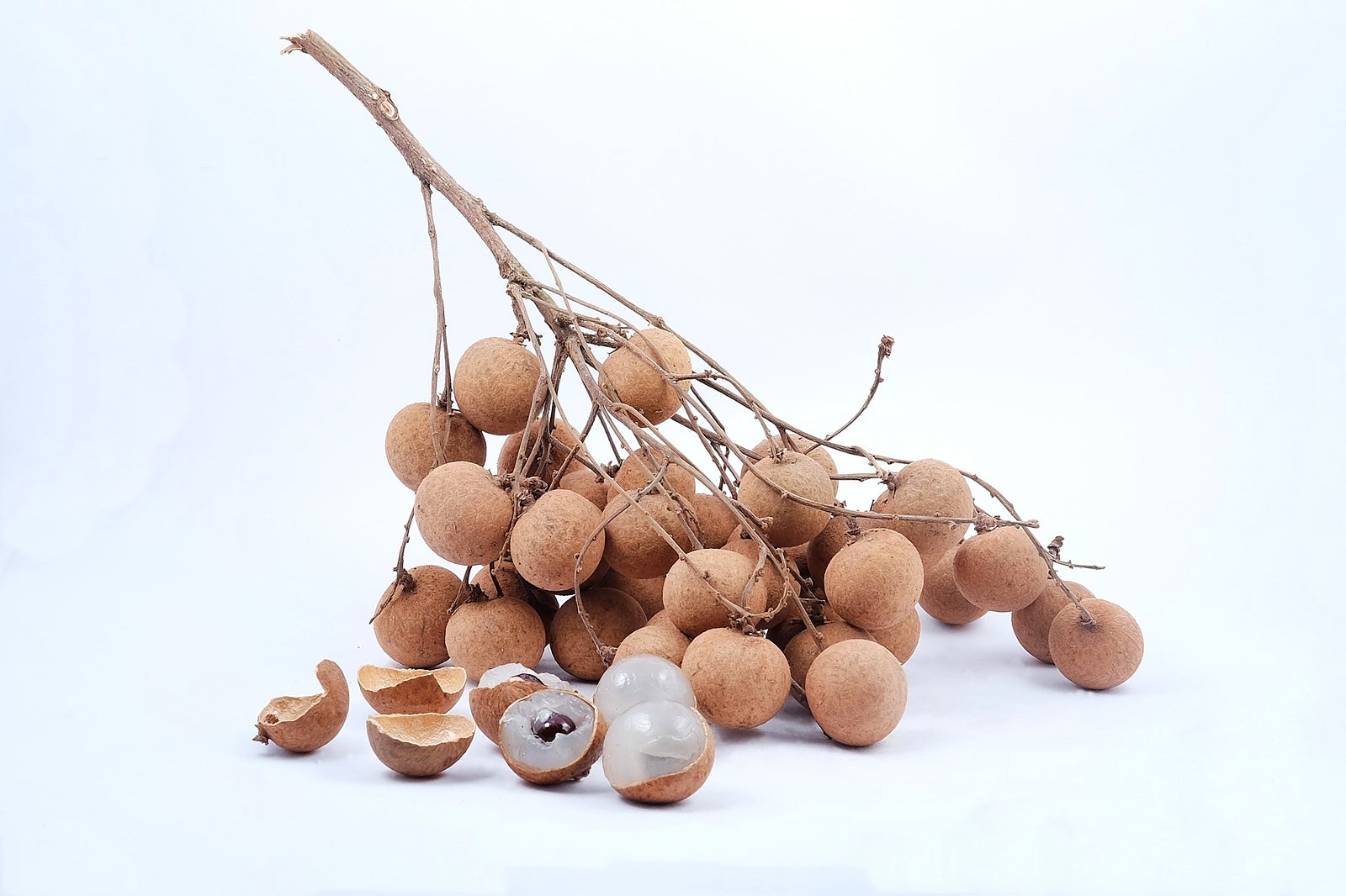 لونگان (لام-یائی) - Longan (Lam-Yai)