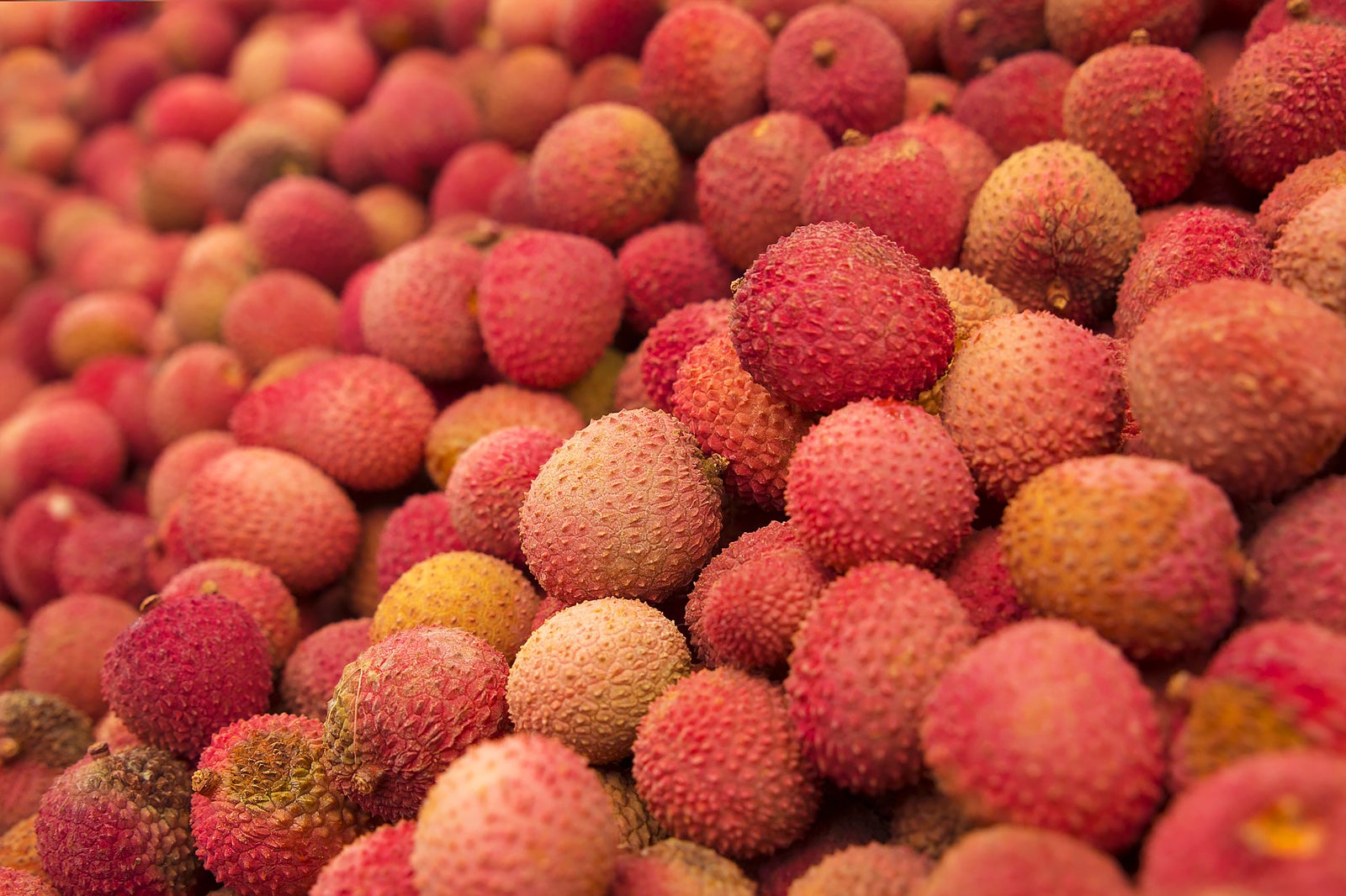 لیچی (لینجی) - Lychee (Linjee)