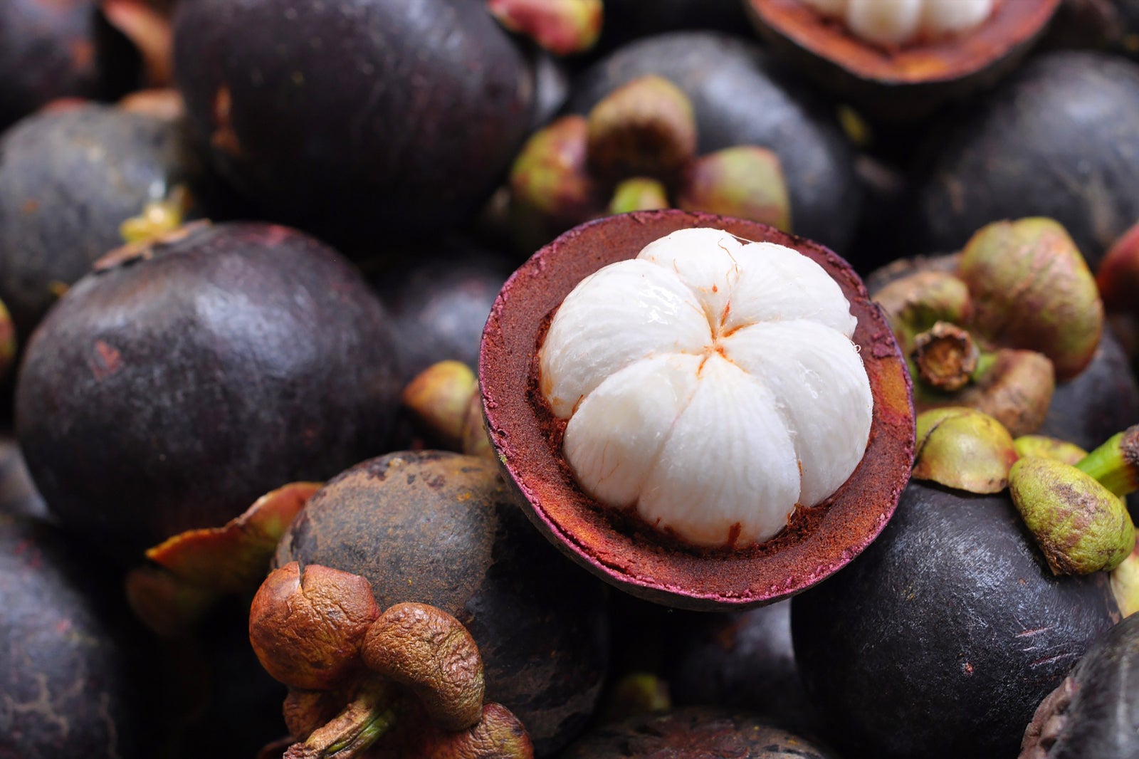 منگوستین (Mang-Kut) - Mangosteen (Mang-Kut)