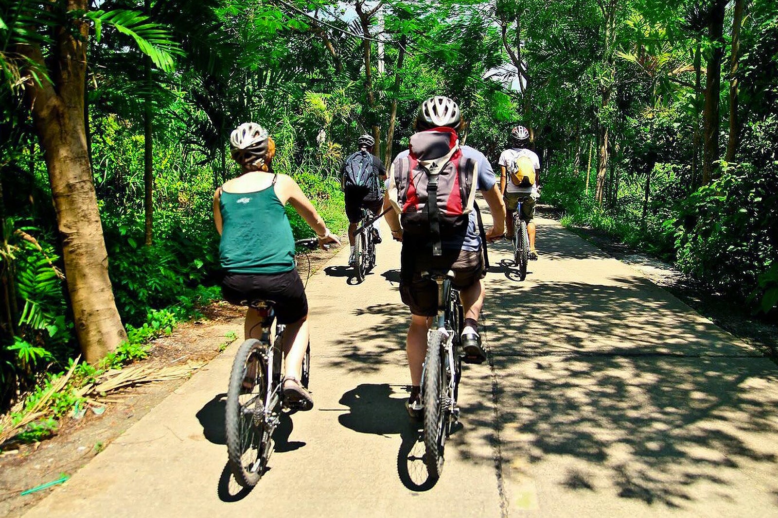 تور دوچرخه سواری جنگل سبز ریه بانکوک - The Green Lung Bangkok jungle cycle tour