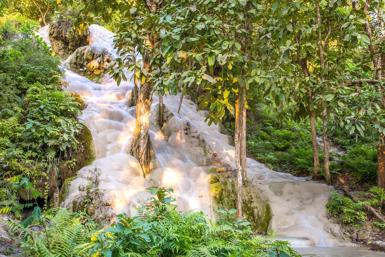 Namtok Bua Tong (آبشارهای چسبناک) - Namtok Bua Tong (Sticky Waterfalls)