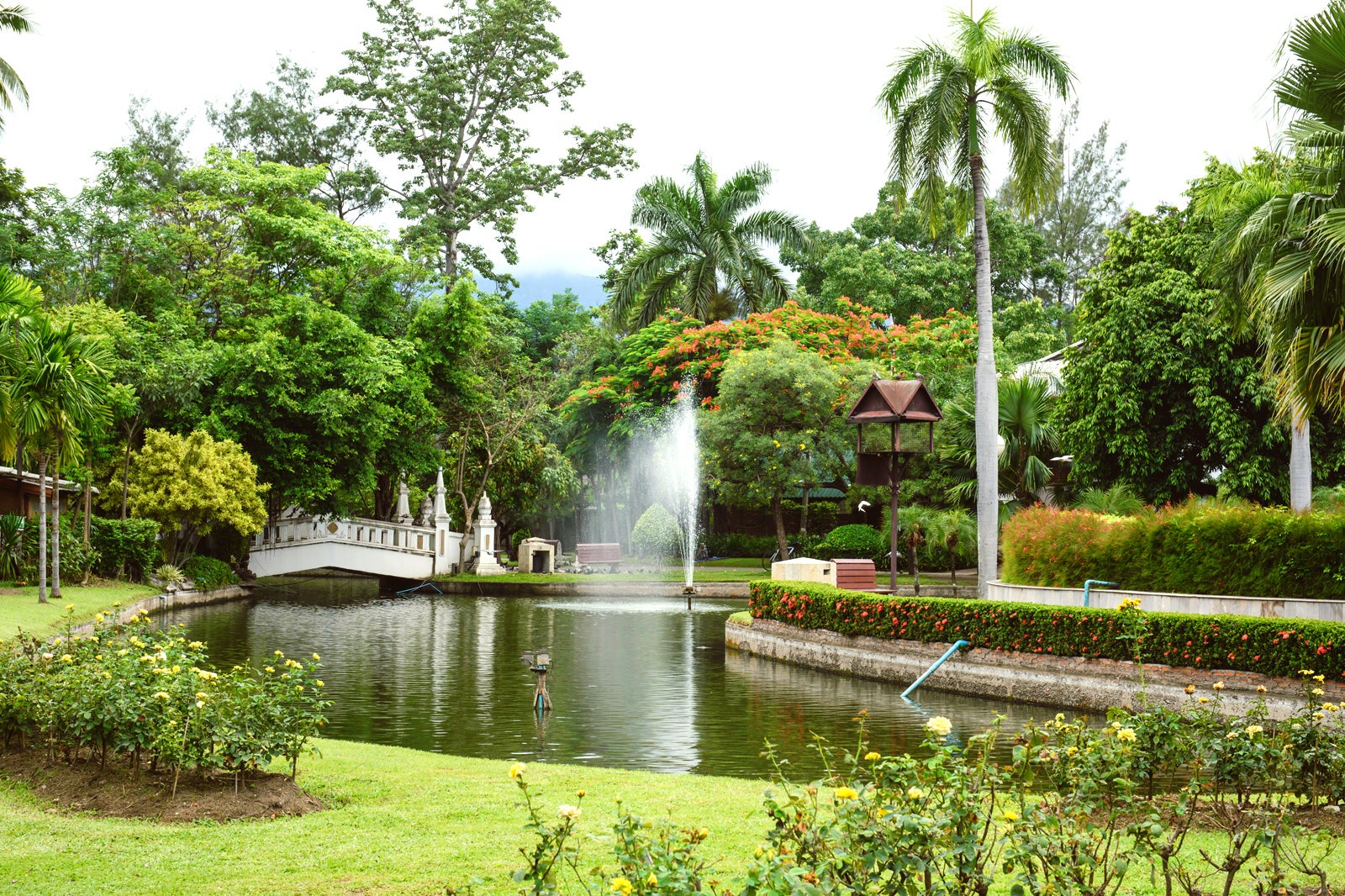 پارک عمومی نونگ بواک هاد - Nong Buak Haad Public Park