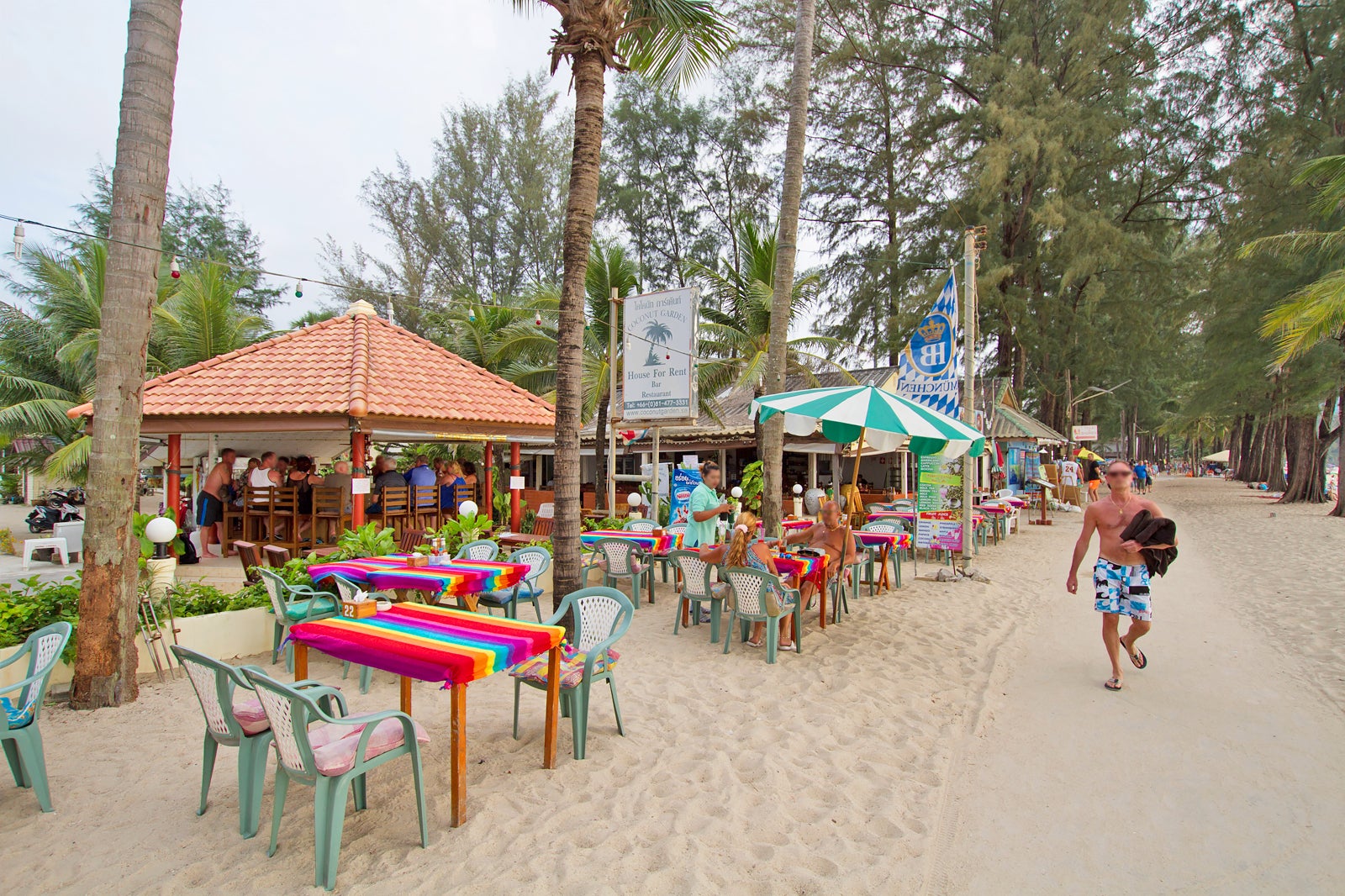 باغ نارگیل - Coconut Garden