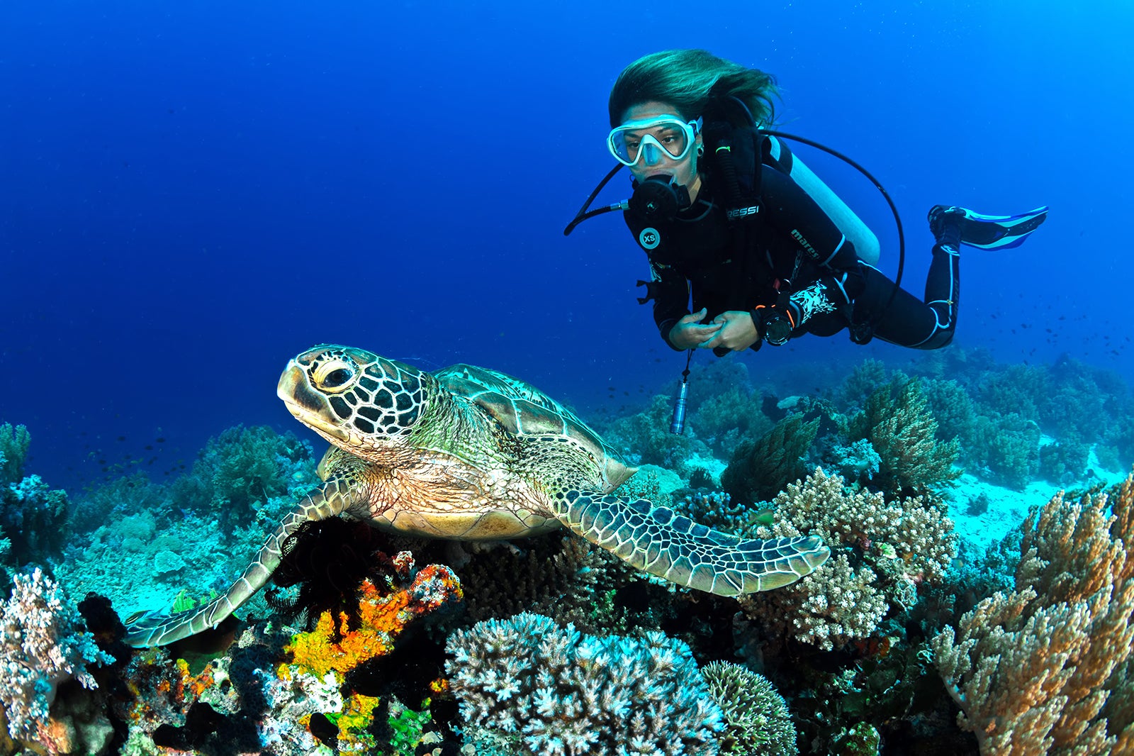 غواصی در کوه سامویی - Scuba diving in Koh Samui