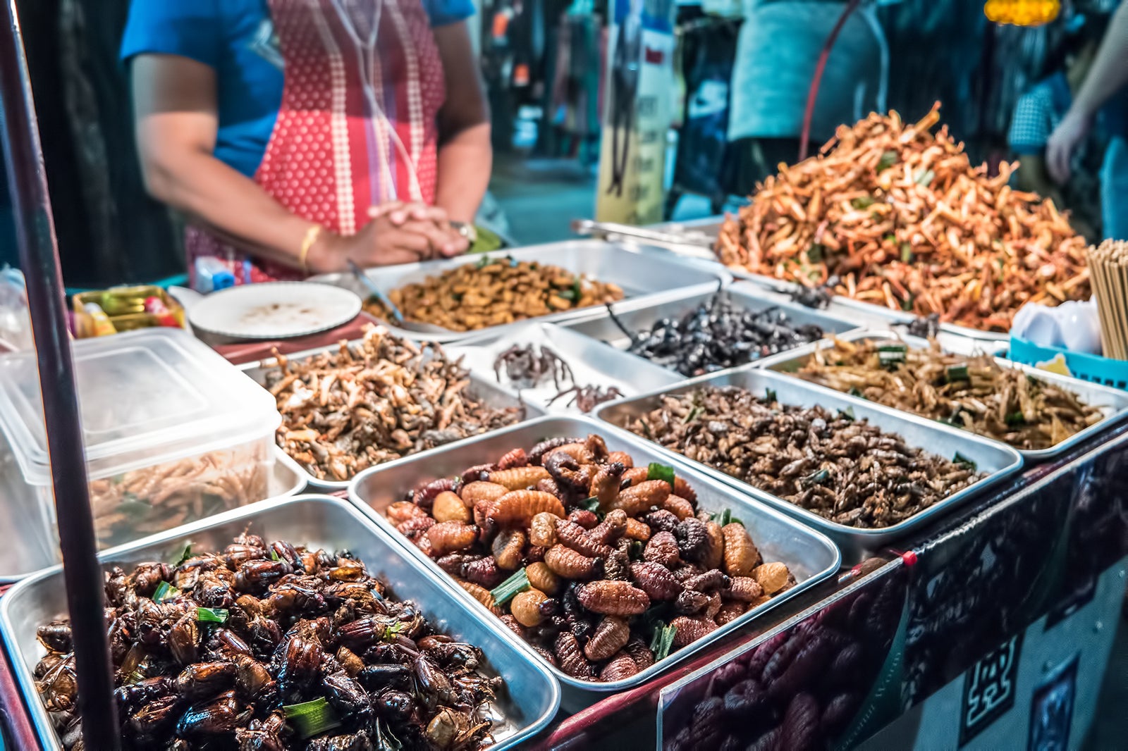 بازار شبانه پارک پاتایا - Pattaya Park Night Market