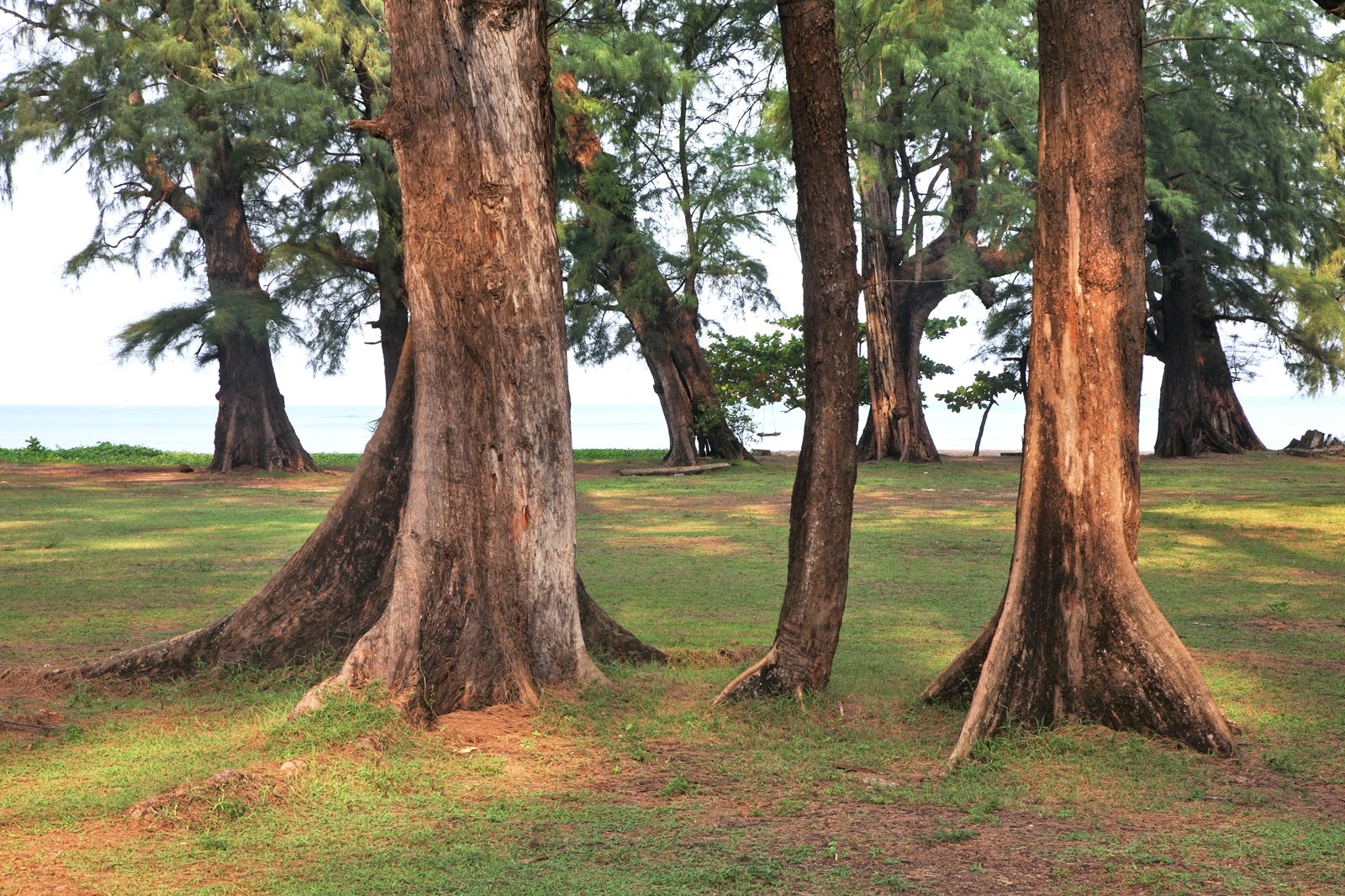 پارک ملی سیرینات - Sirinath National Park