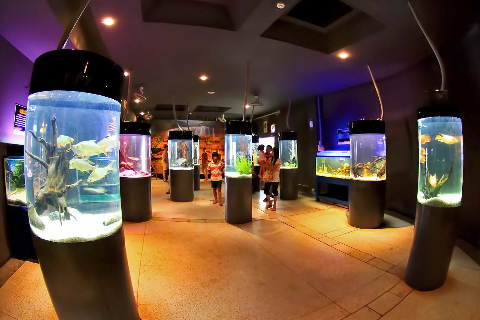 آکواریوم پوکت - Phuket Aquarium