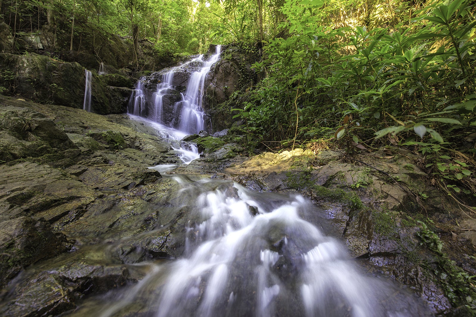 آبشارهای پوکت - Phuket waterfalls