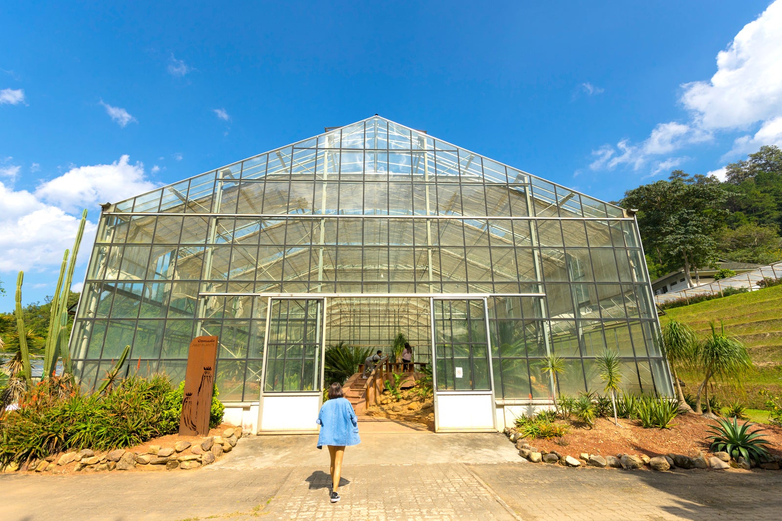 باغ گیاه شناسی ملکه سیریکیت - Queen Sirikit Botanical Garden