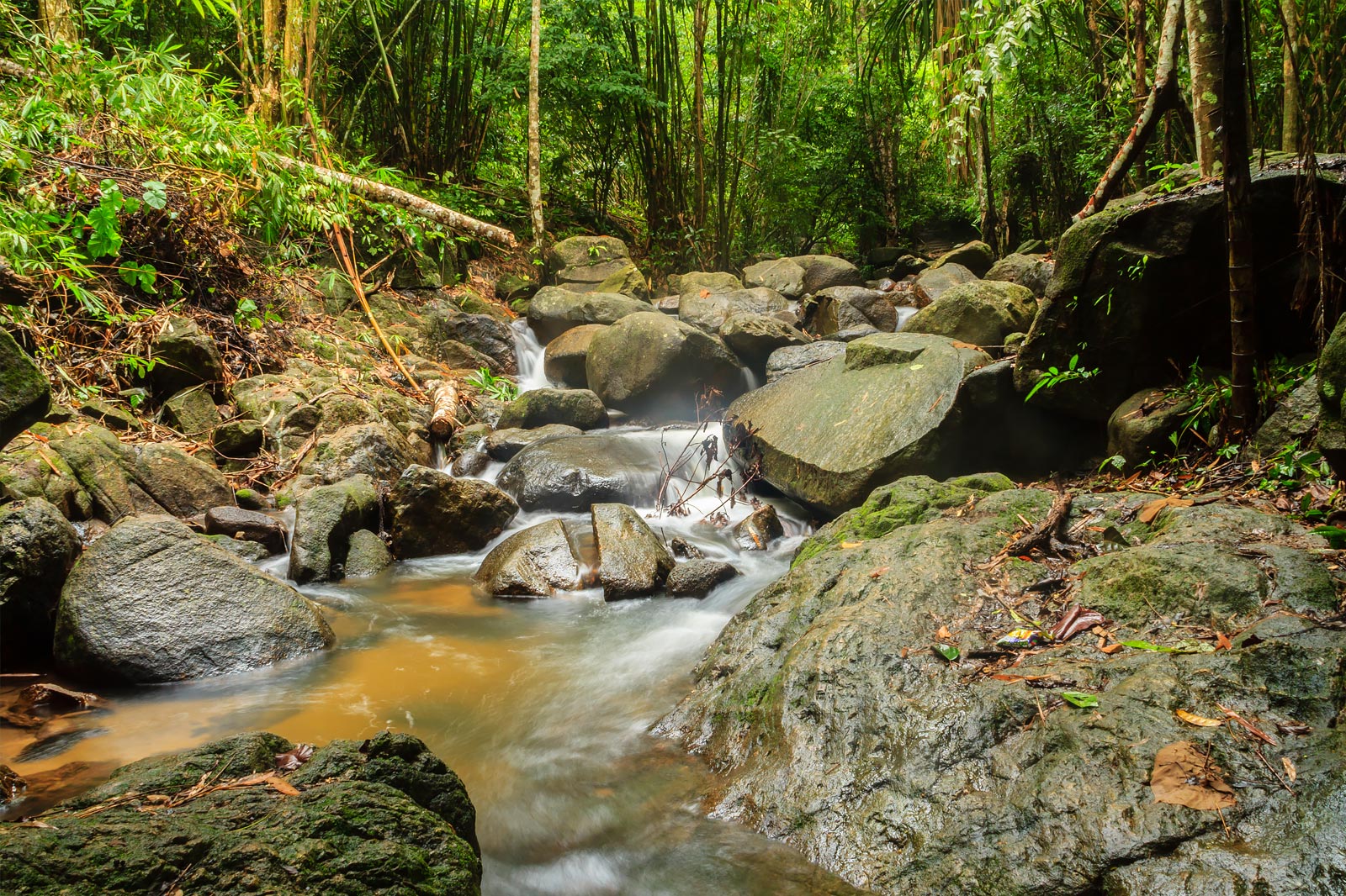 پارک ملی Khao Phra Thaeo - Khao Phra Thaeo National Park