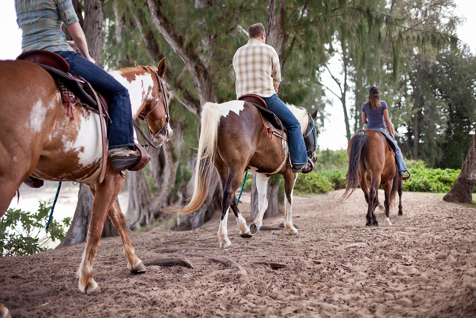 اسب سواری در بدروم - Horseback riding in Bodrum