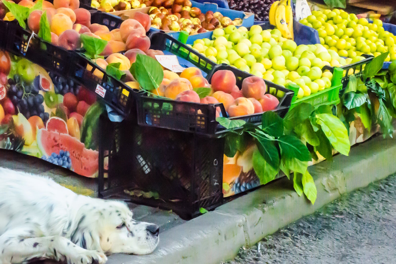 خیابان بلند بازار خرید - Long bazaar shopping street