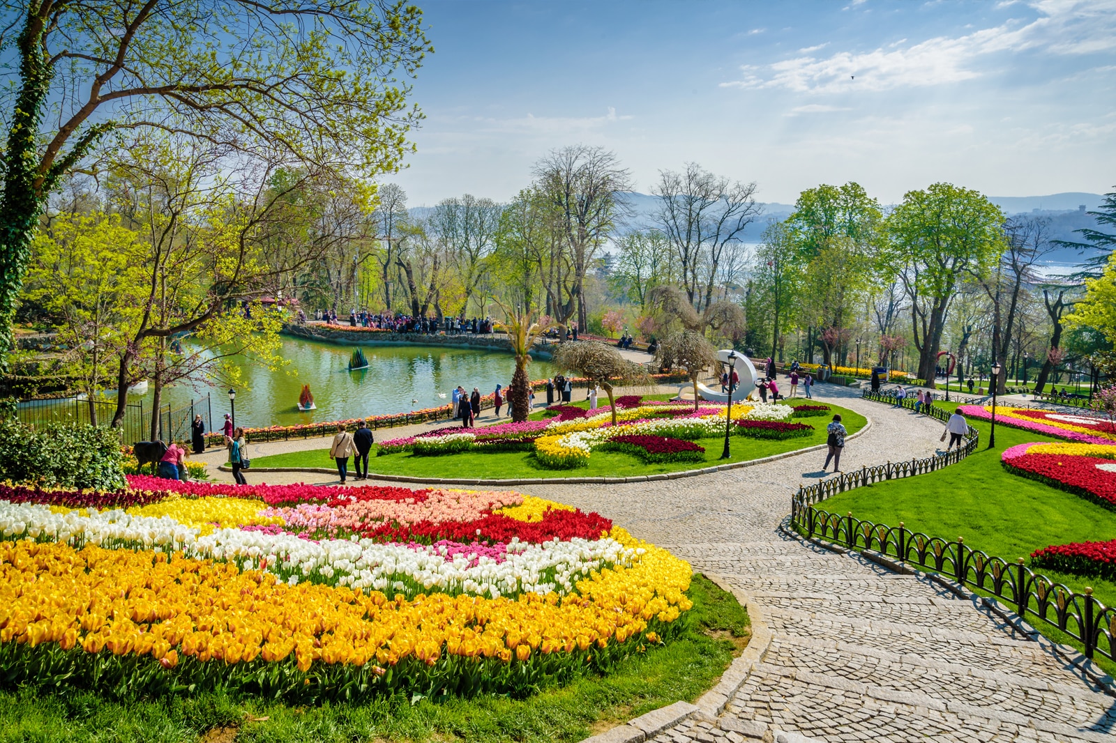 لاله‌های شکوفه‌ده را در پارک Emirgân ببینید - See tulips in bloom at Emirgân Park