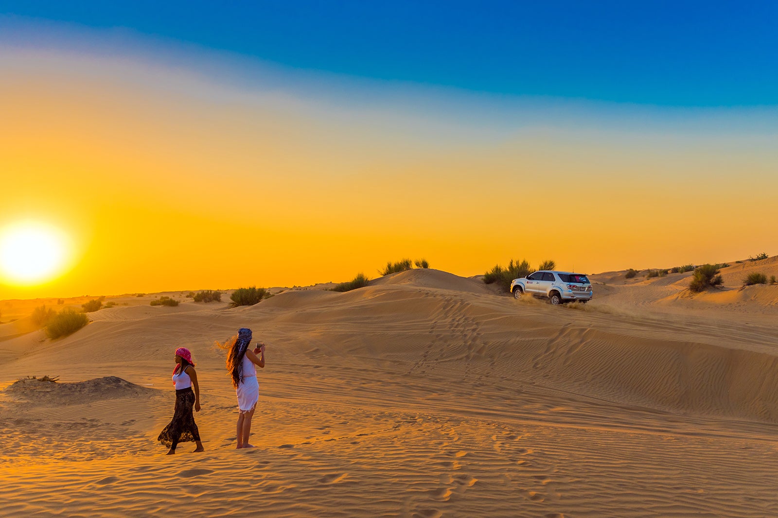 حفاظت از صحرای دبی - Dubai Desert Conservation Reserve