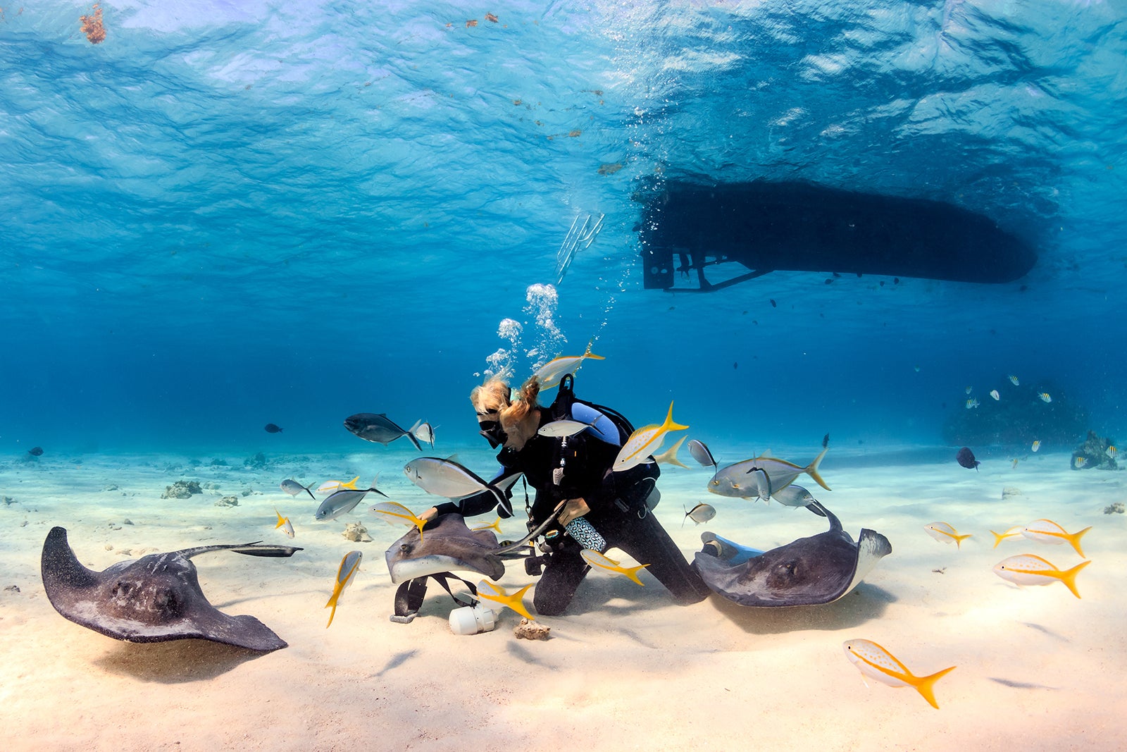 غواصی - Scuba diving