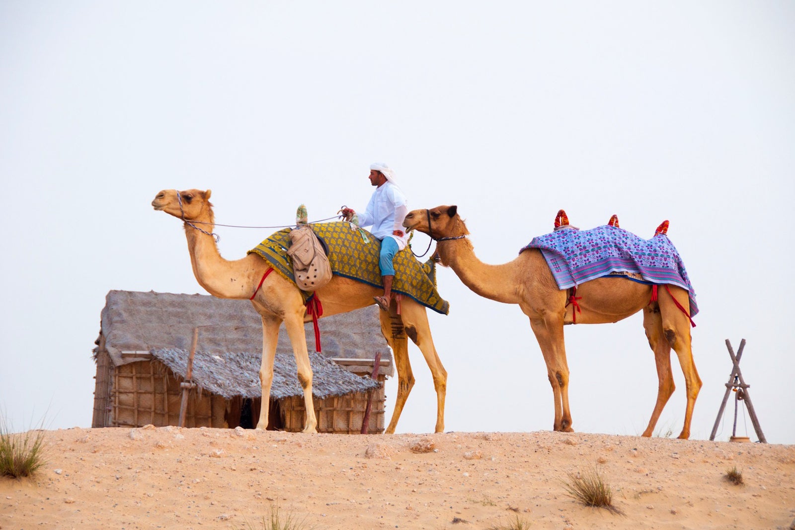 سافاری صحرای عربستان - Arabian Desert safari