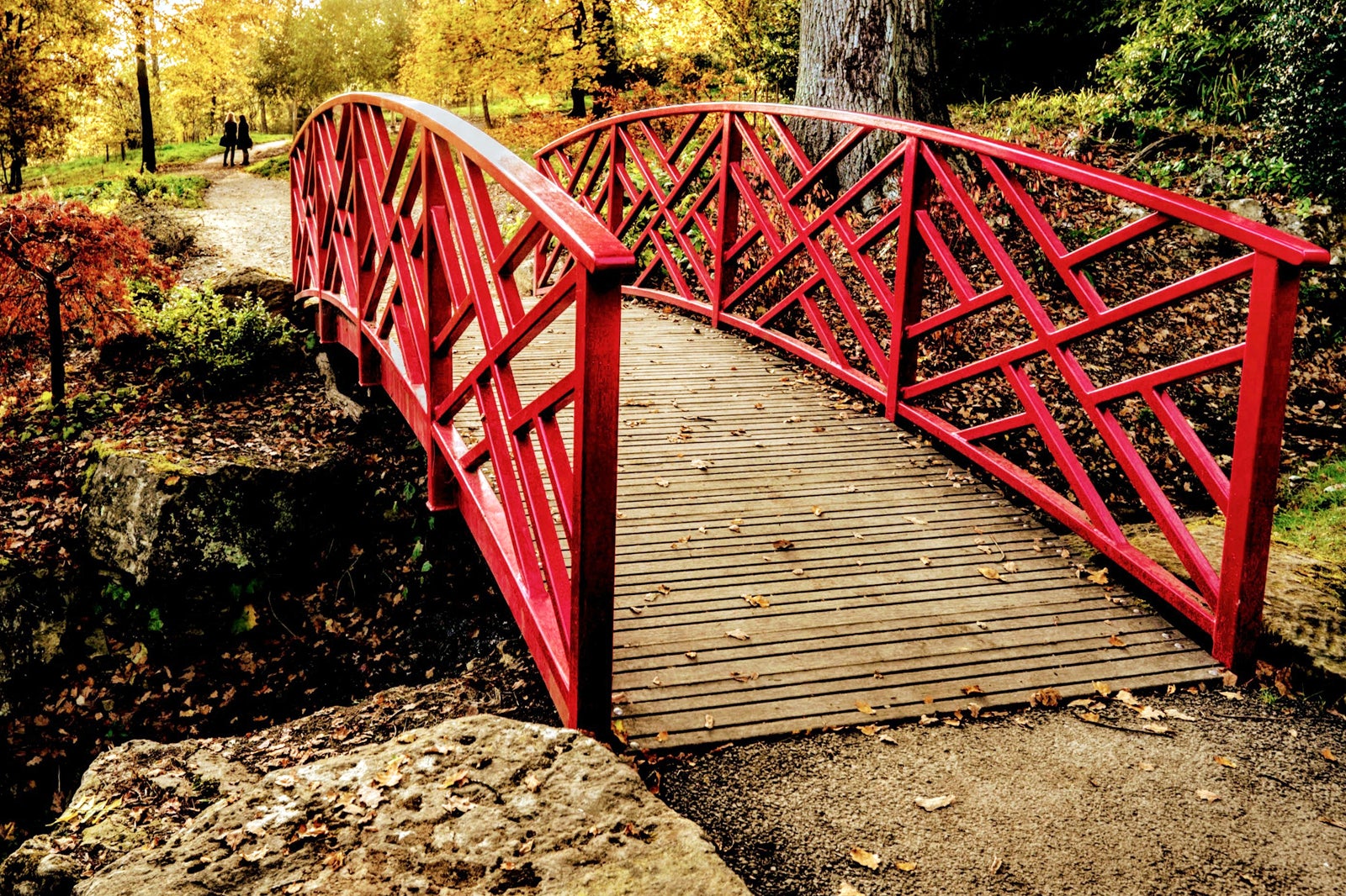 درختستان بتسفورد - Batsford Arboretum