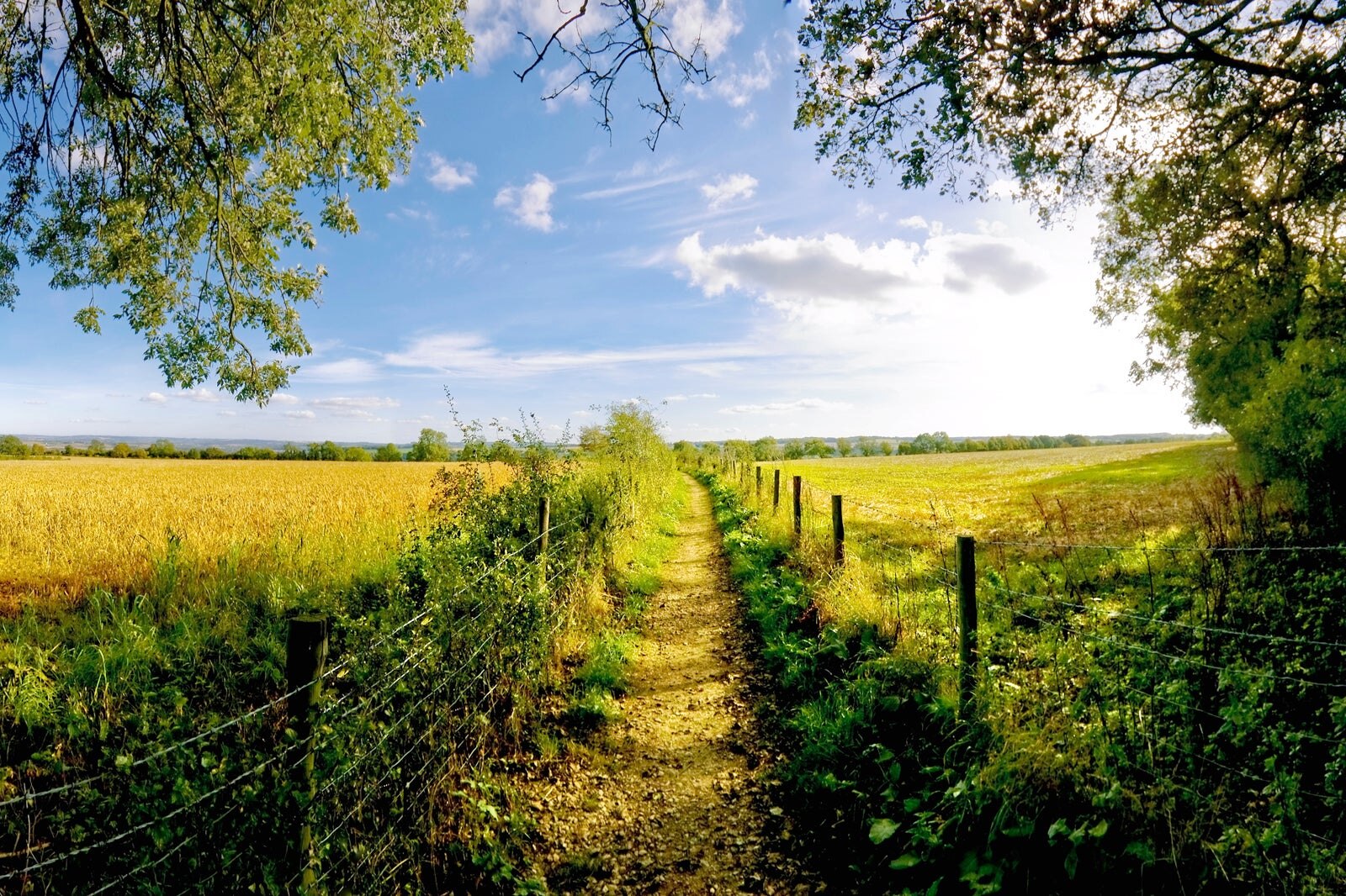 راه کوتس ولد - Cotswold Way