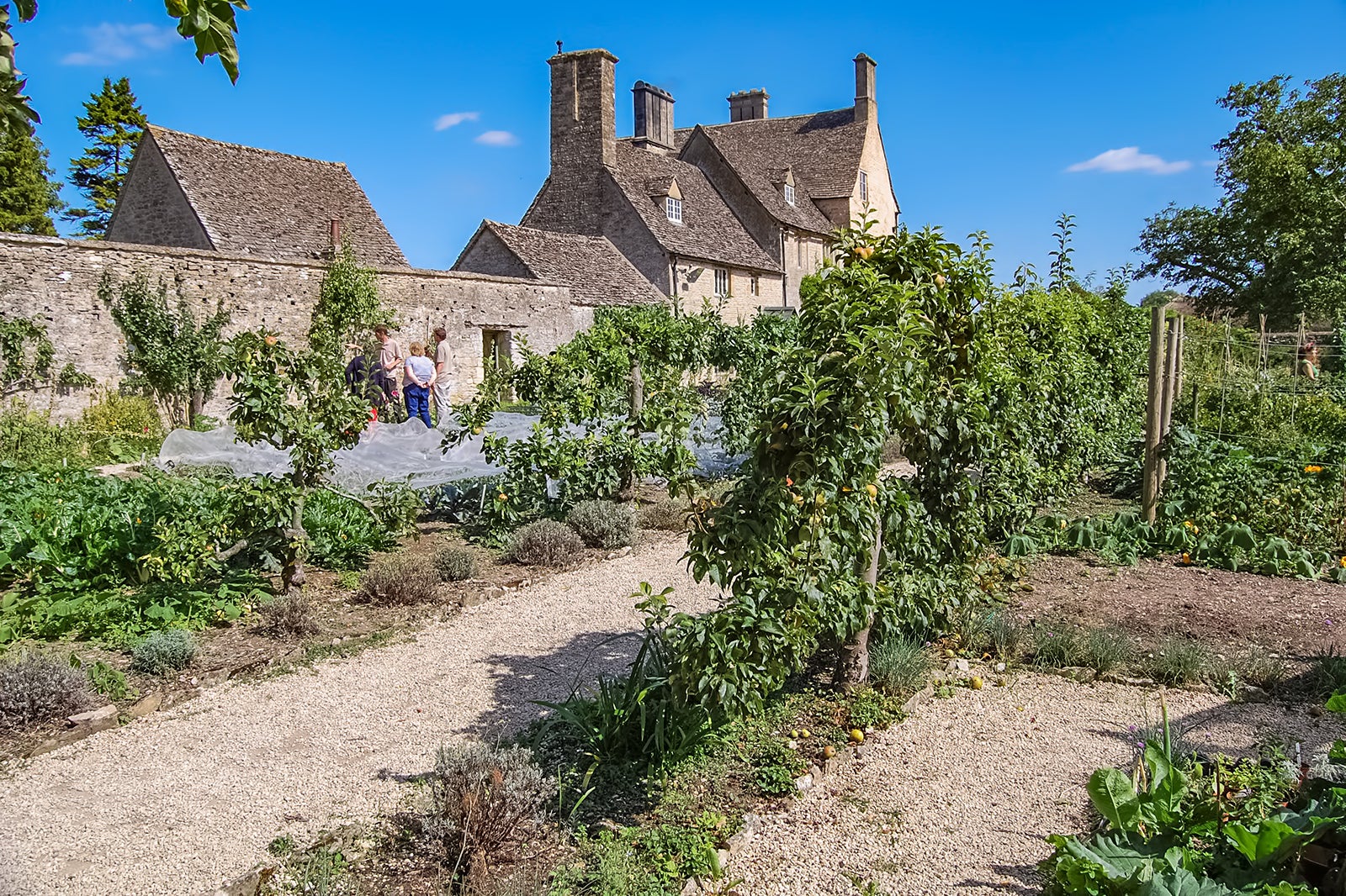 مزرعه Cogges Manor - Cogges Manor Farm