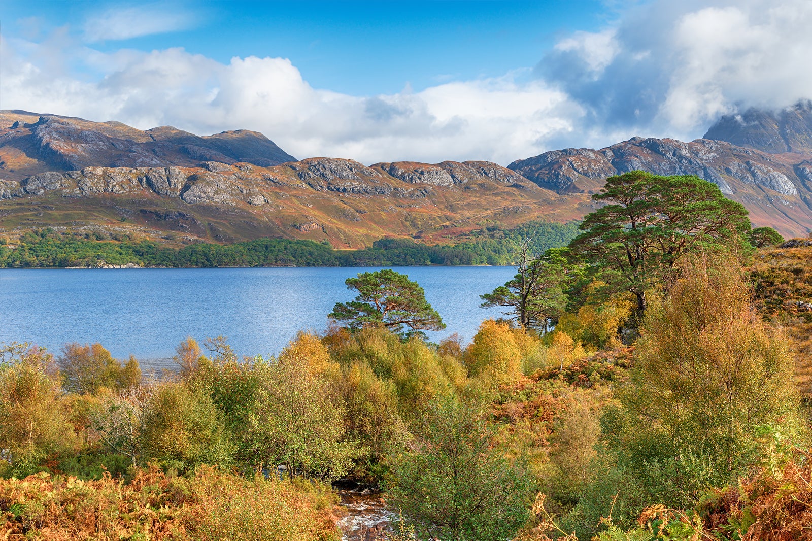 دریاچه ماری - Loch Maree