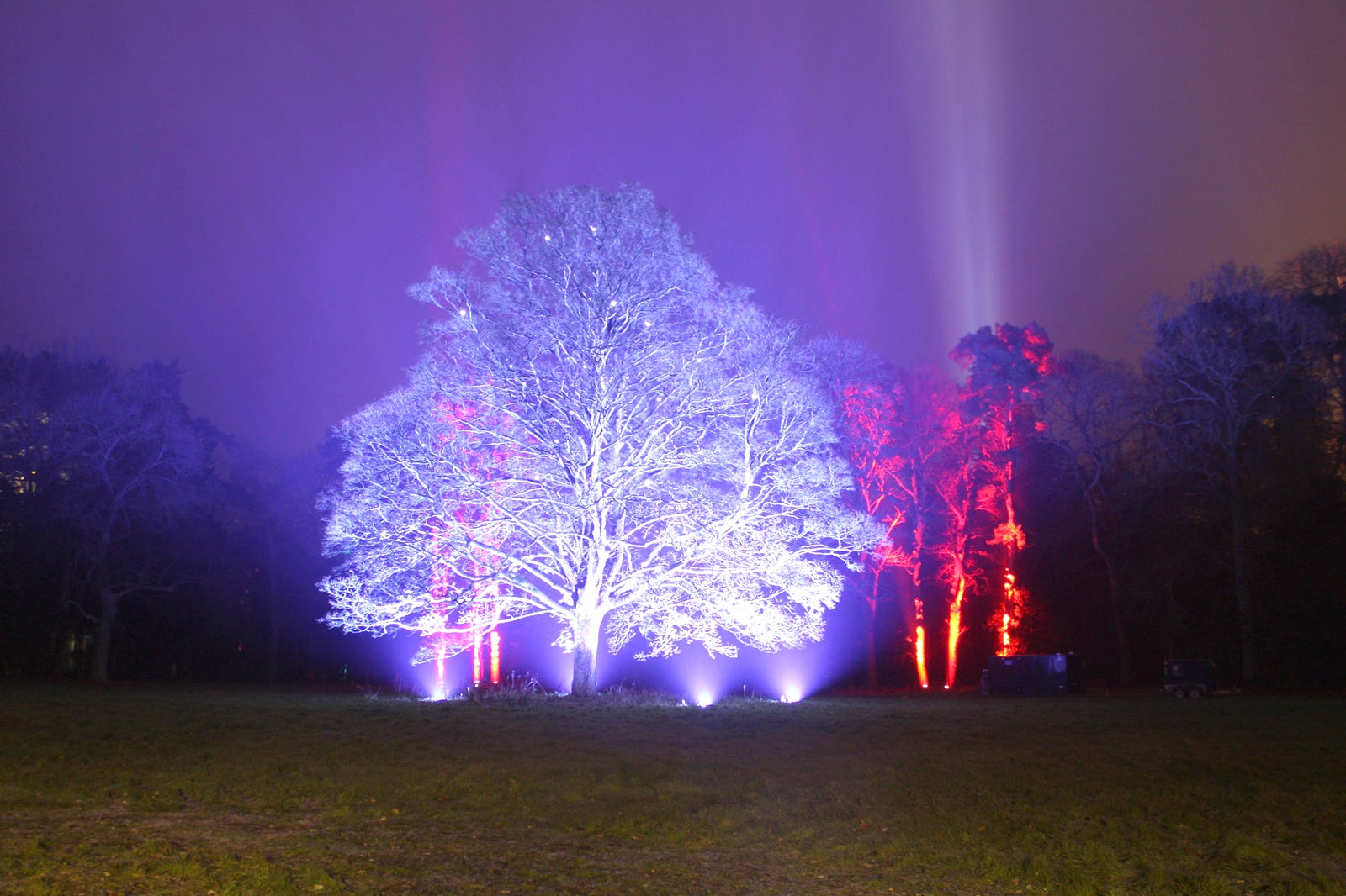 درختستان وستون‌بیرت - Westonbirt Arboretum