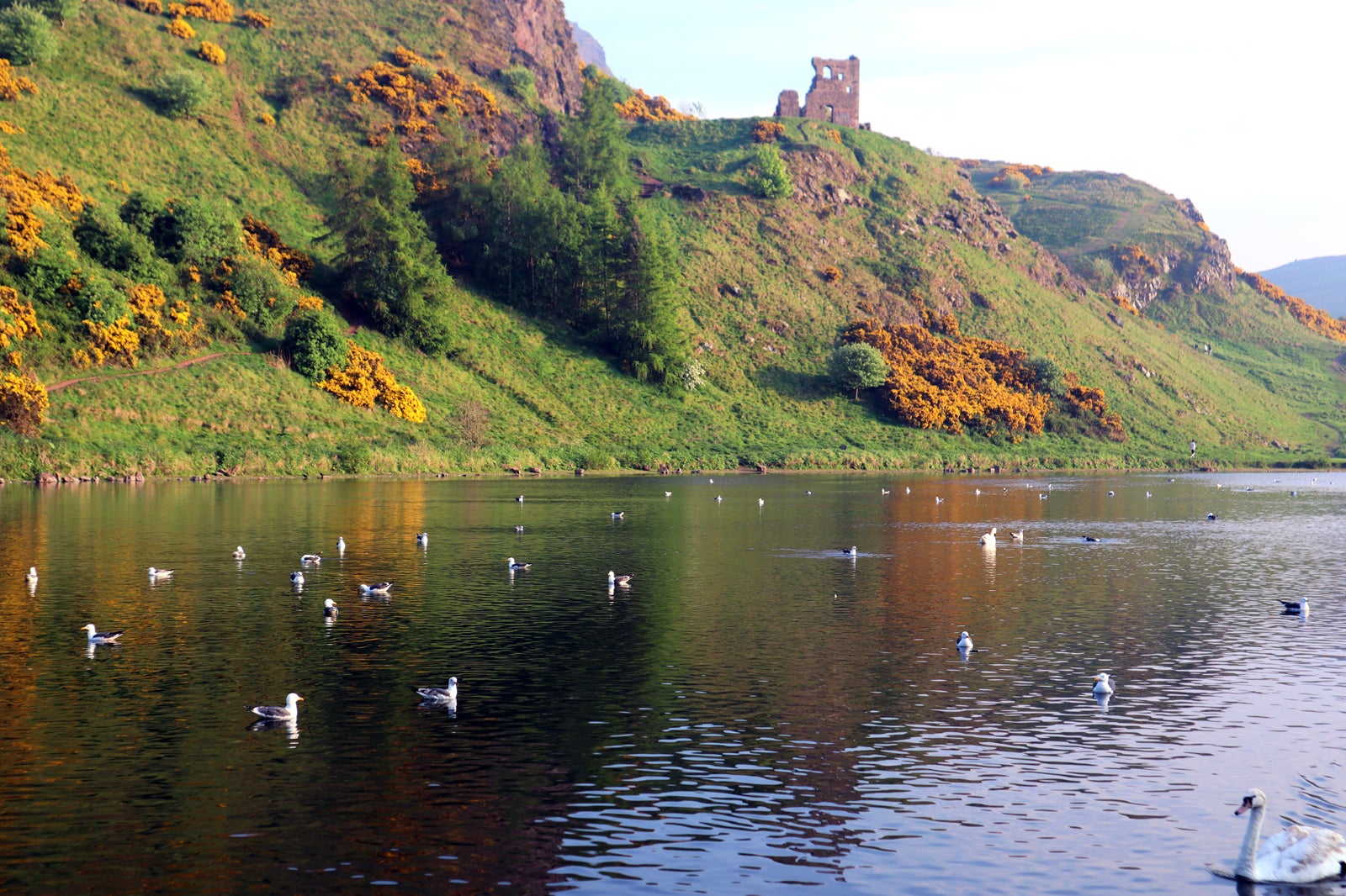 پارک هالیرود - Holyrood Park