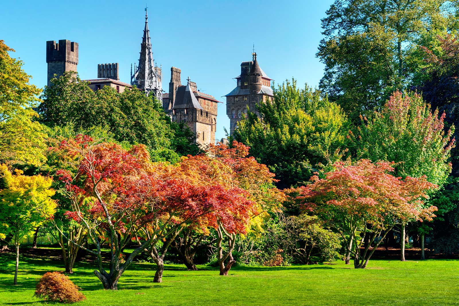 بوت پارک - Bute Park