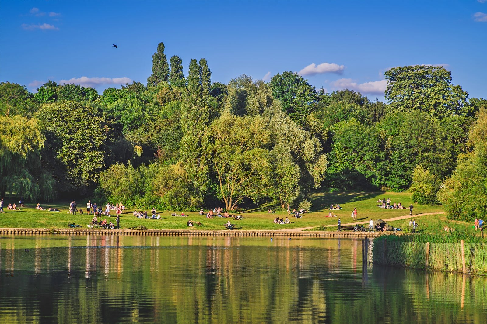 همپستد هیث - Hampstead Heath