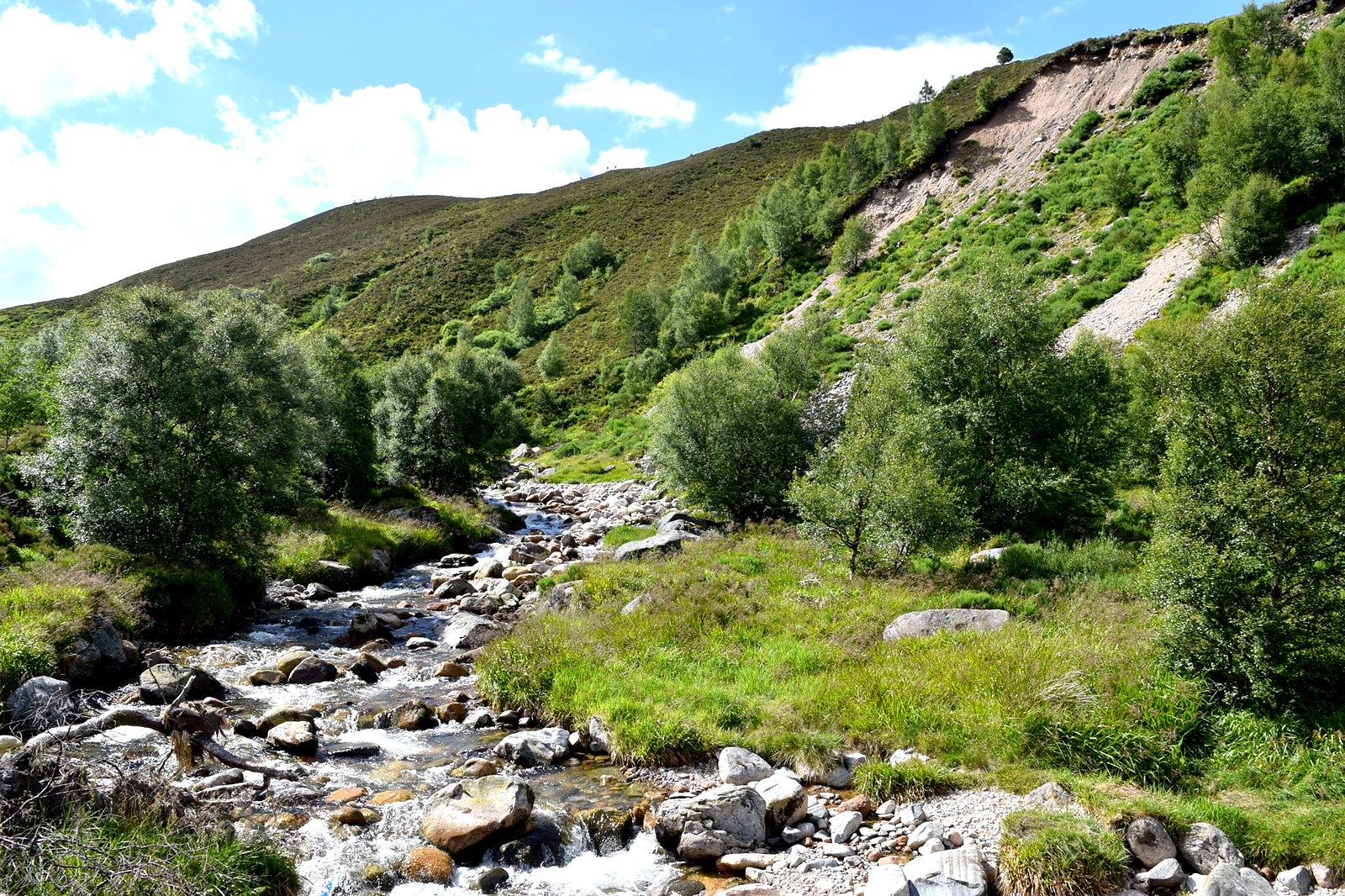 آبشار رودخانه لوچی - River Lochy Falls