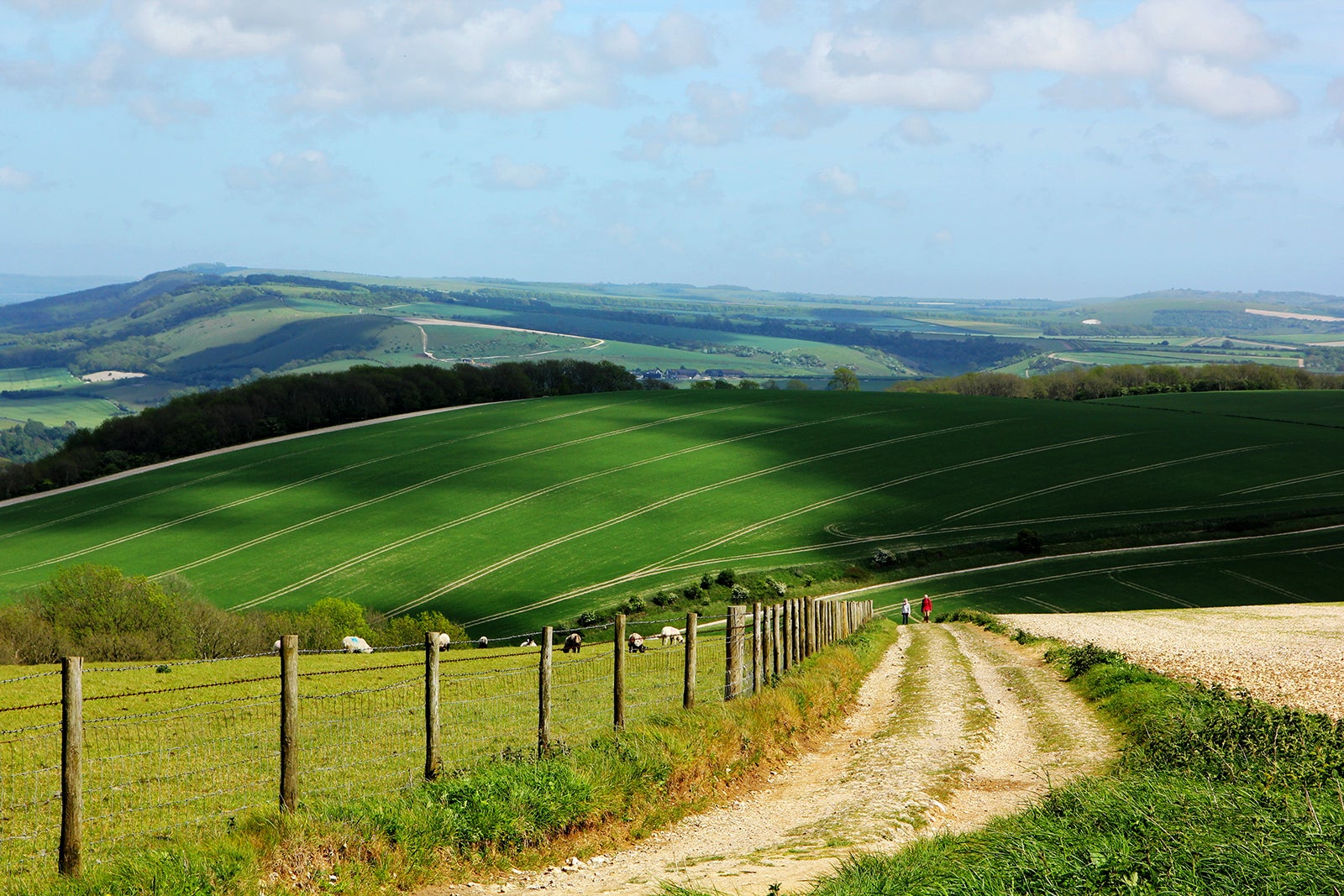 پارک ملی ساوت داونز - South Downs National Park