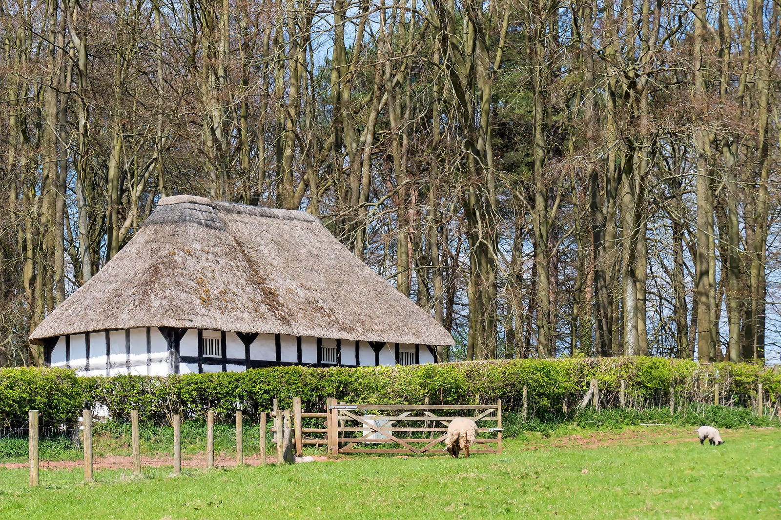 موزه ملی تاریخ سنت فاگانس - St Fagans National Museum of History