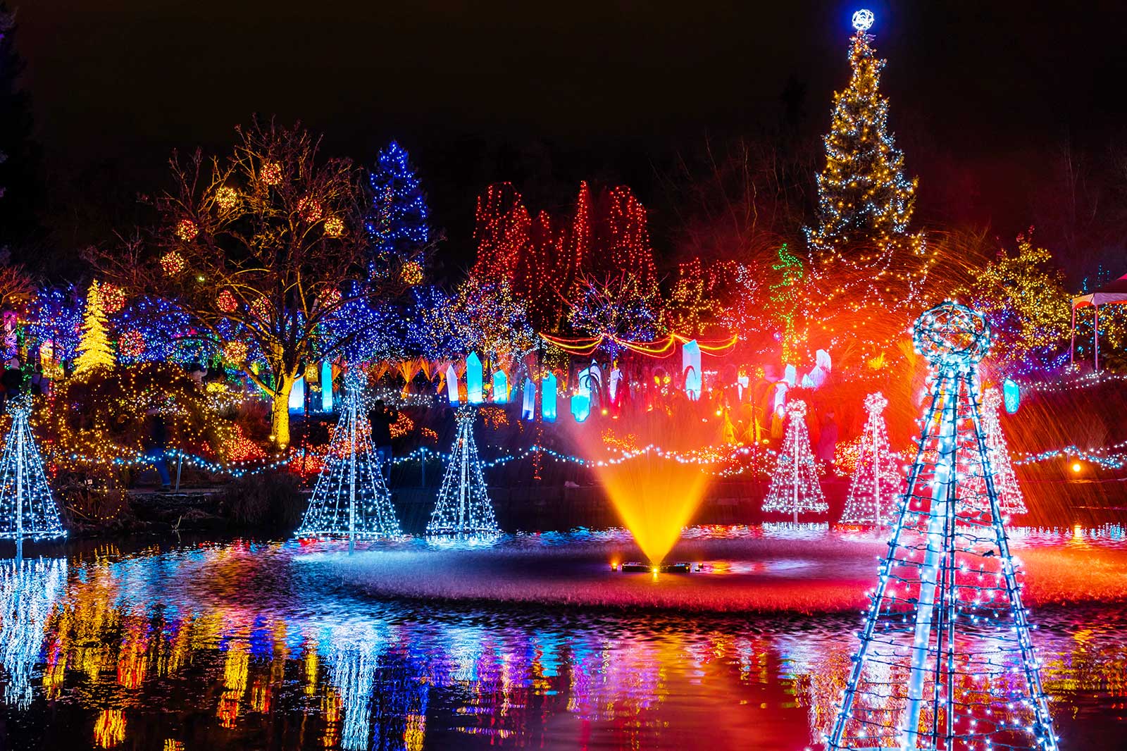 کریسمس در باغ کیو - Christmas at Kew Gardens