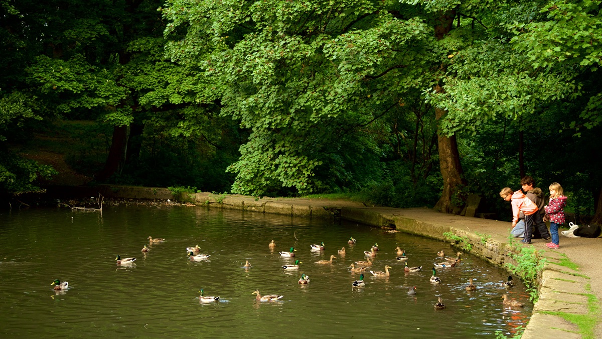 پارک کانتری پولوک - Pollok Country Park