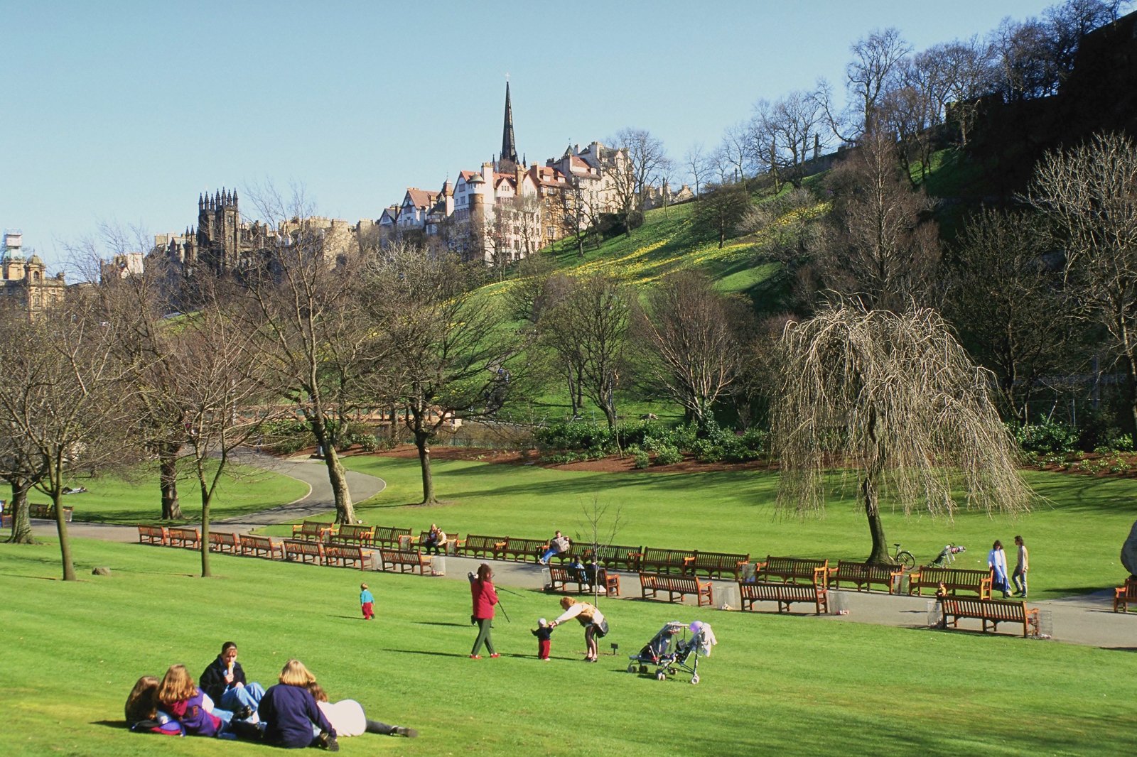 پیک نیک در پارک - Picnics in the park