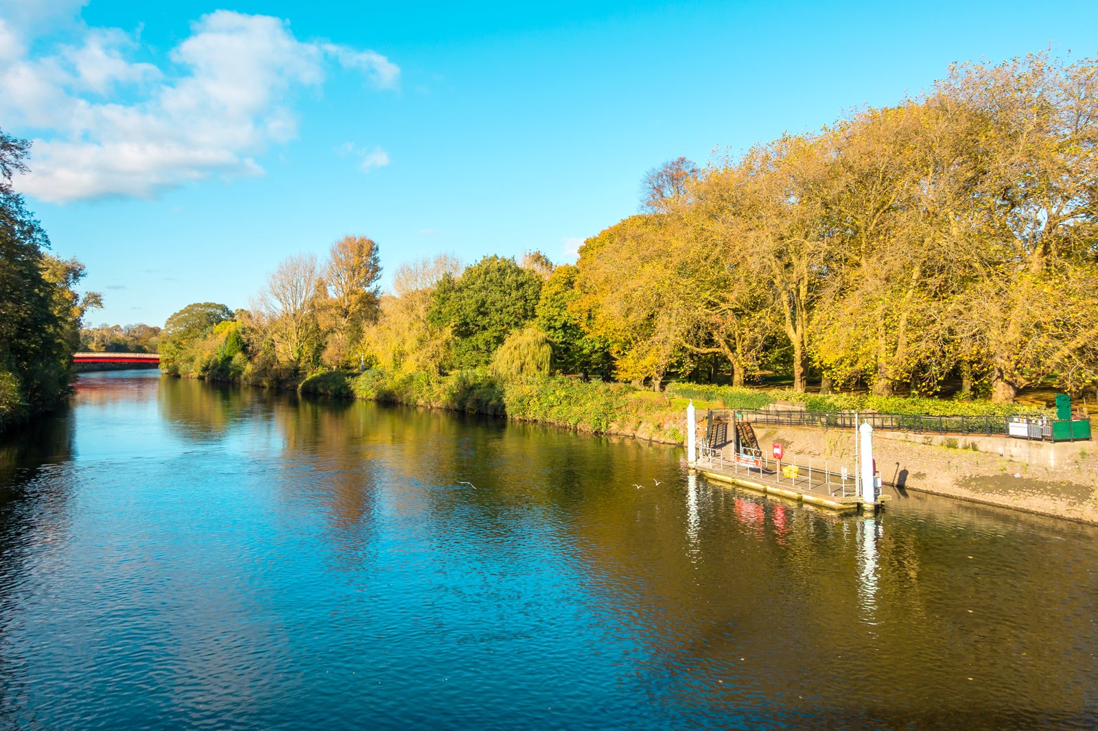 بوت پارک - Bute Park