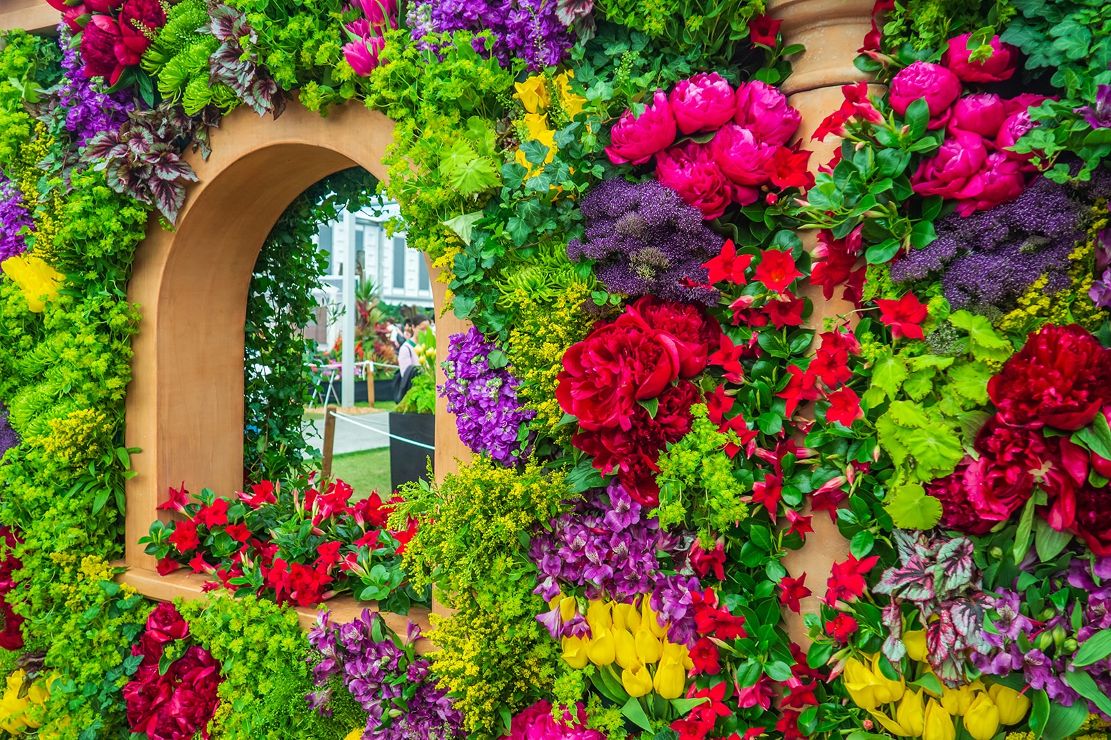 نمایش گل چلسی - Chelsea Flower Show