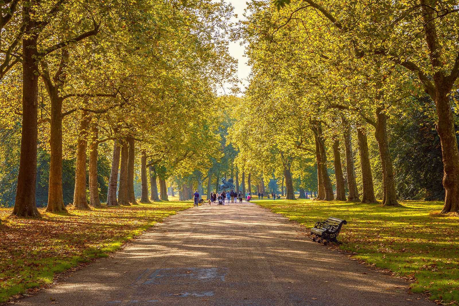 در هاید پارک استراحت کنید - Relax in Hyde Park