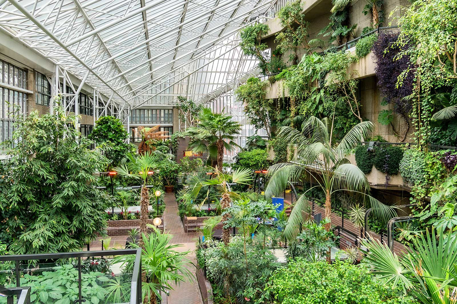 هنرستان باربیکن - Barbican Conservatory