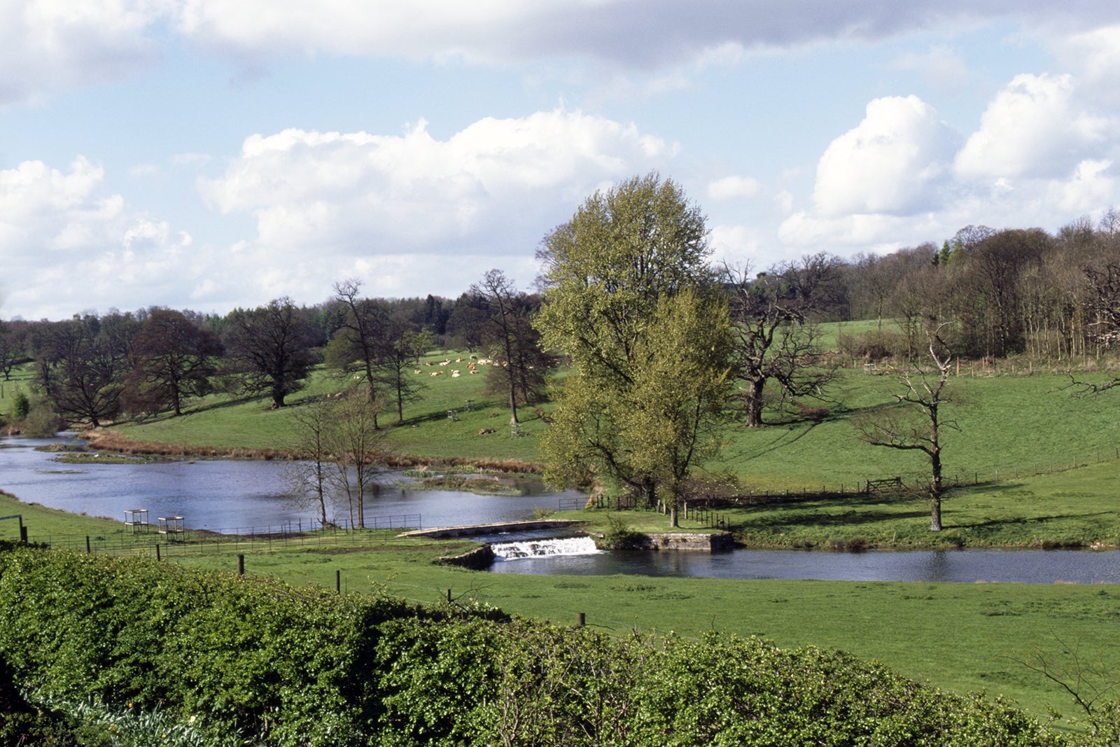 املاک شربورن وودز - Sherborne Woods Estate