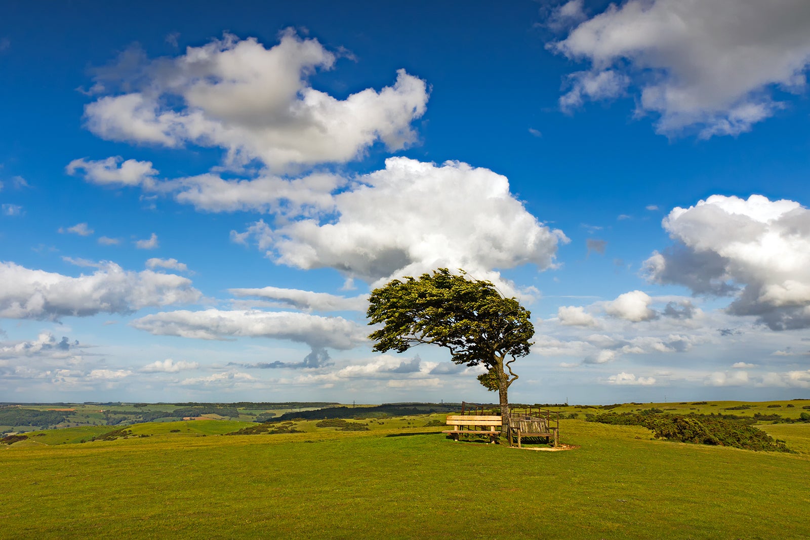 حلقه کلیو هیل - The Cleeve Hill Ring