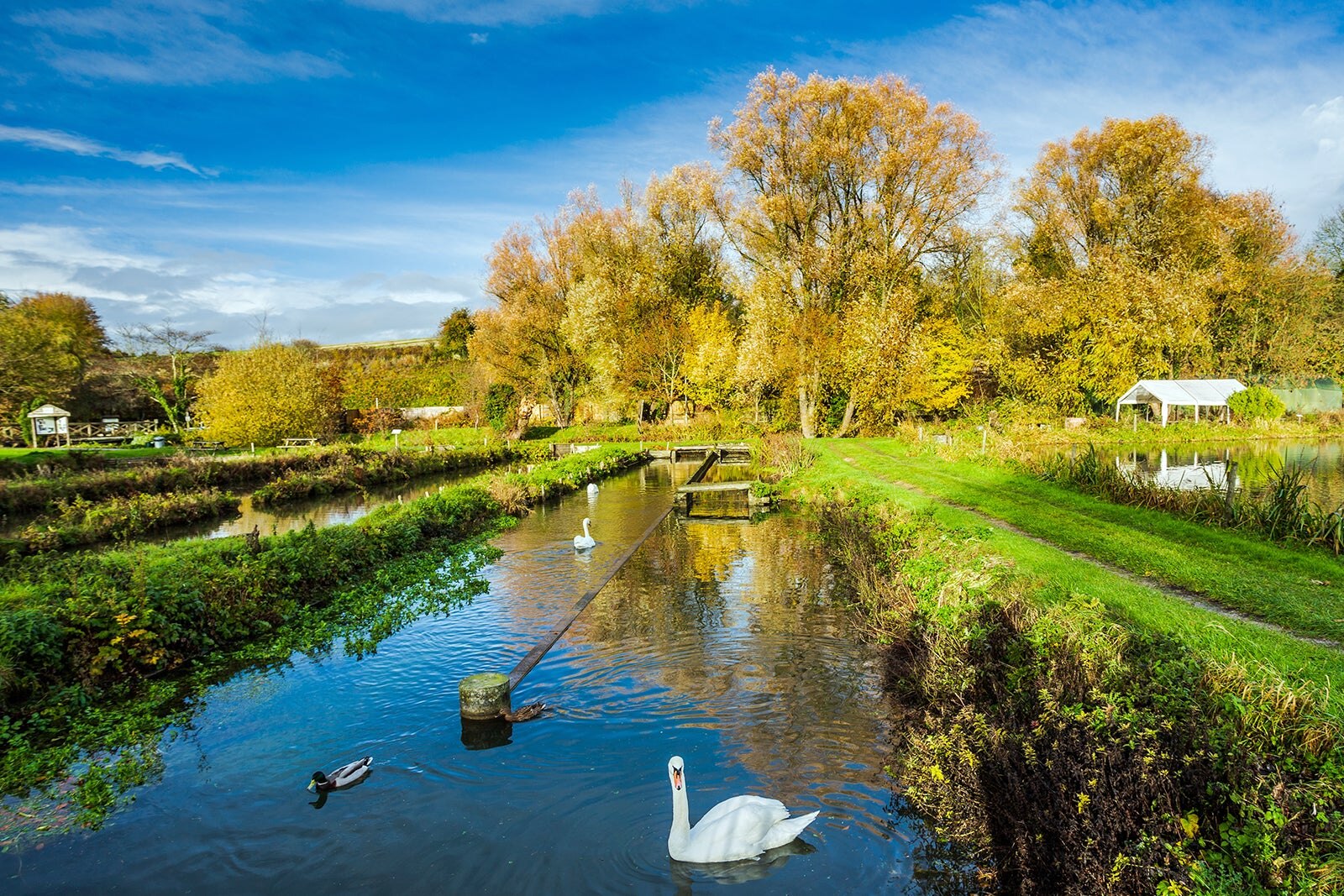 مزرعه قزل آلا بیبری - Bibury Trout Farm