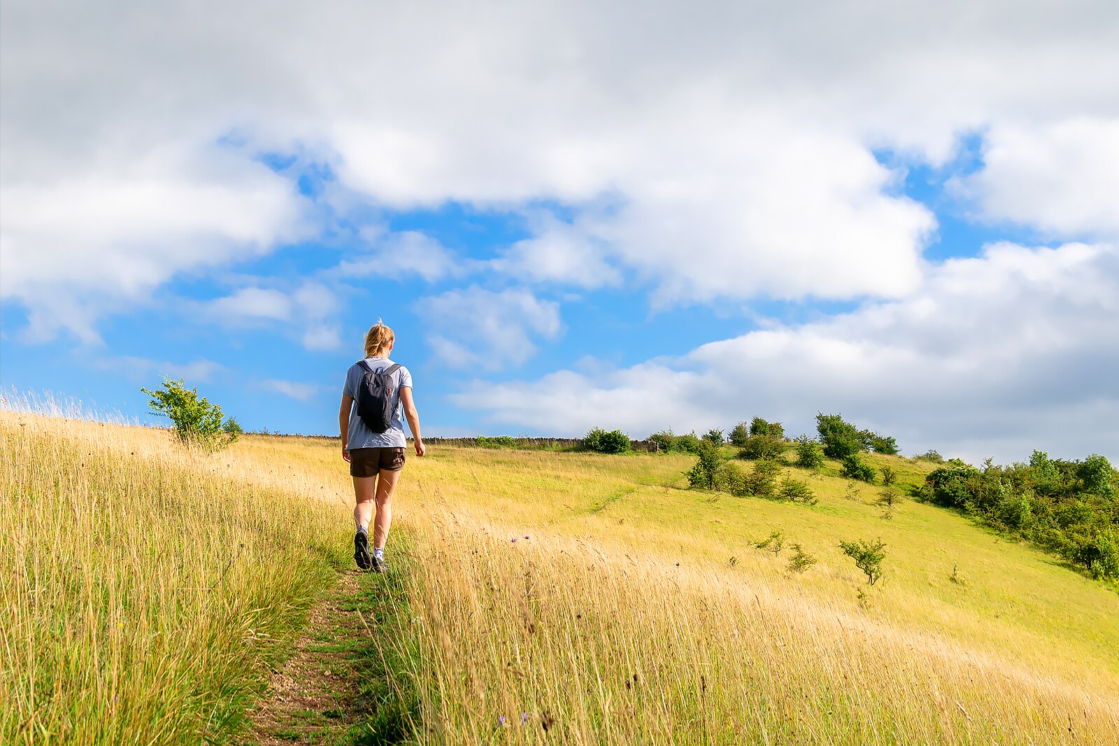 راه کاتسوولد - The Cotswold Way