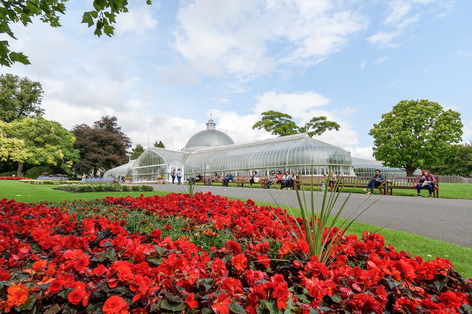 باغ گیاه شناسی گلاسکو - Glasgow Botanic Gardens