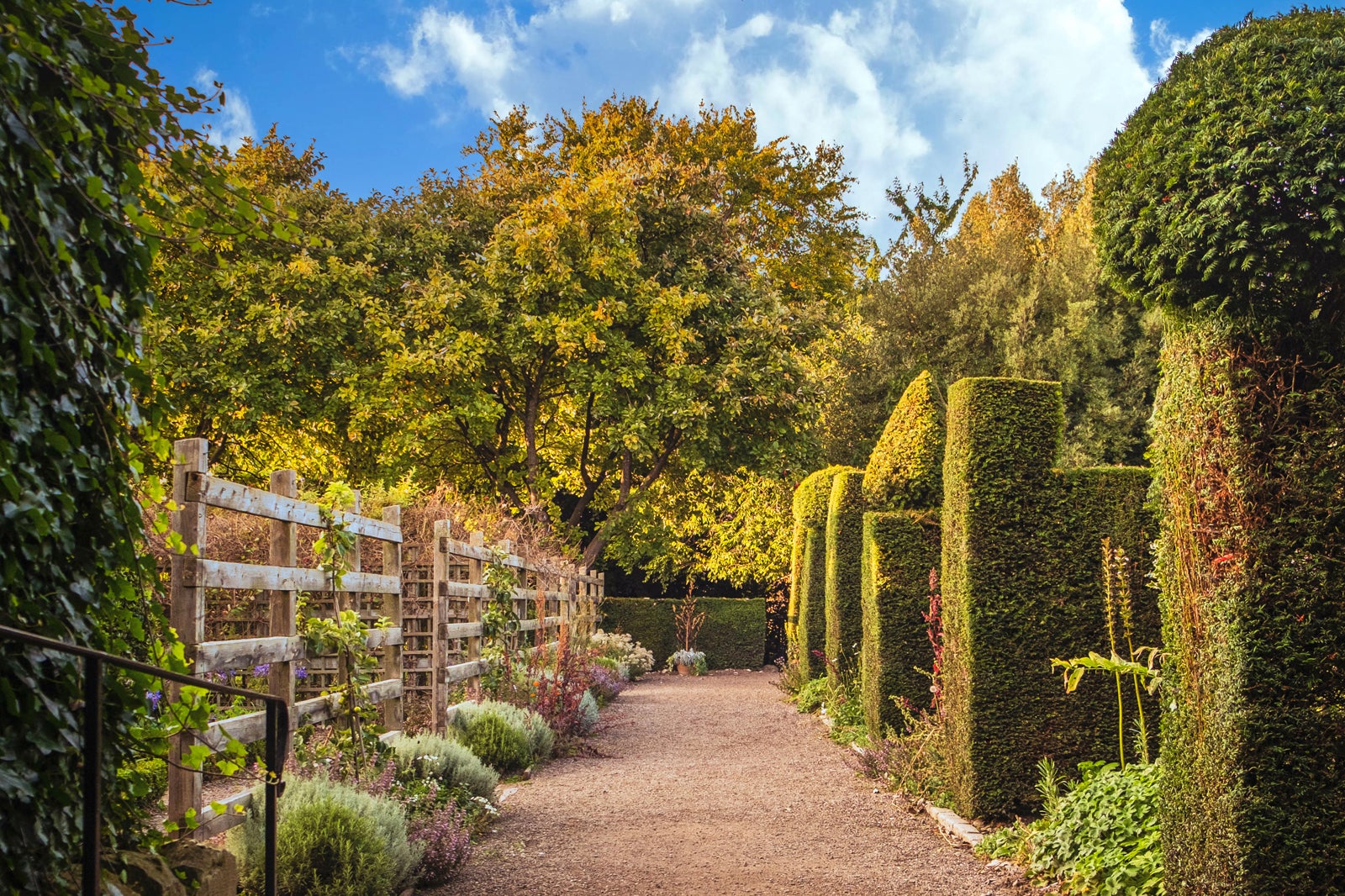 باغ نزدیک دانبار - Dunbar's Close Garden