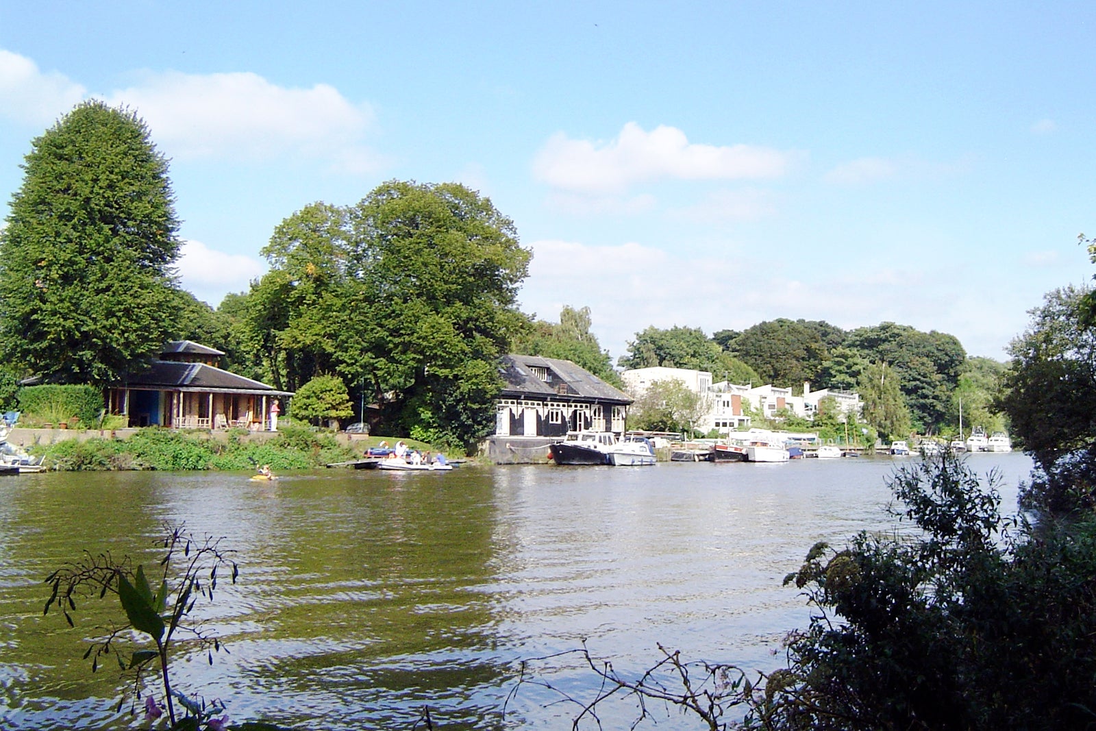 جزیره پای مارماهی - Eel Pie Island