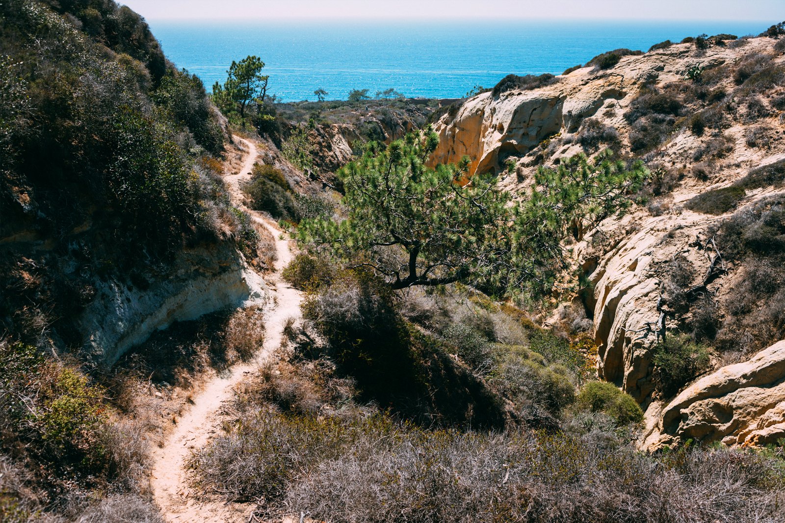 پیاده روی - Hiking